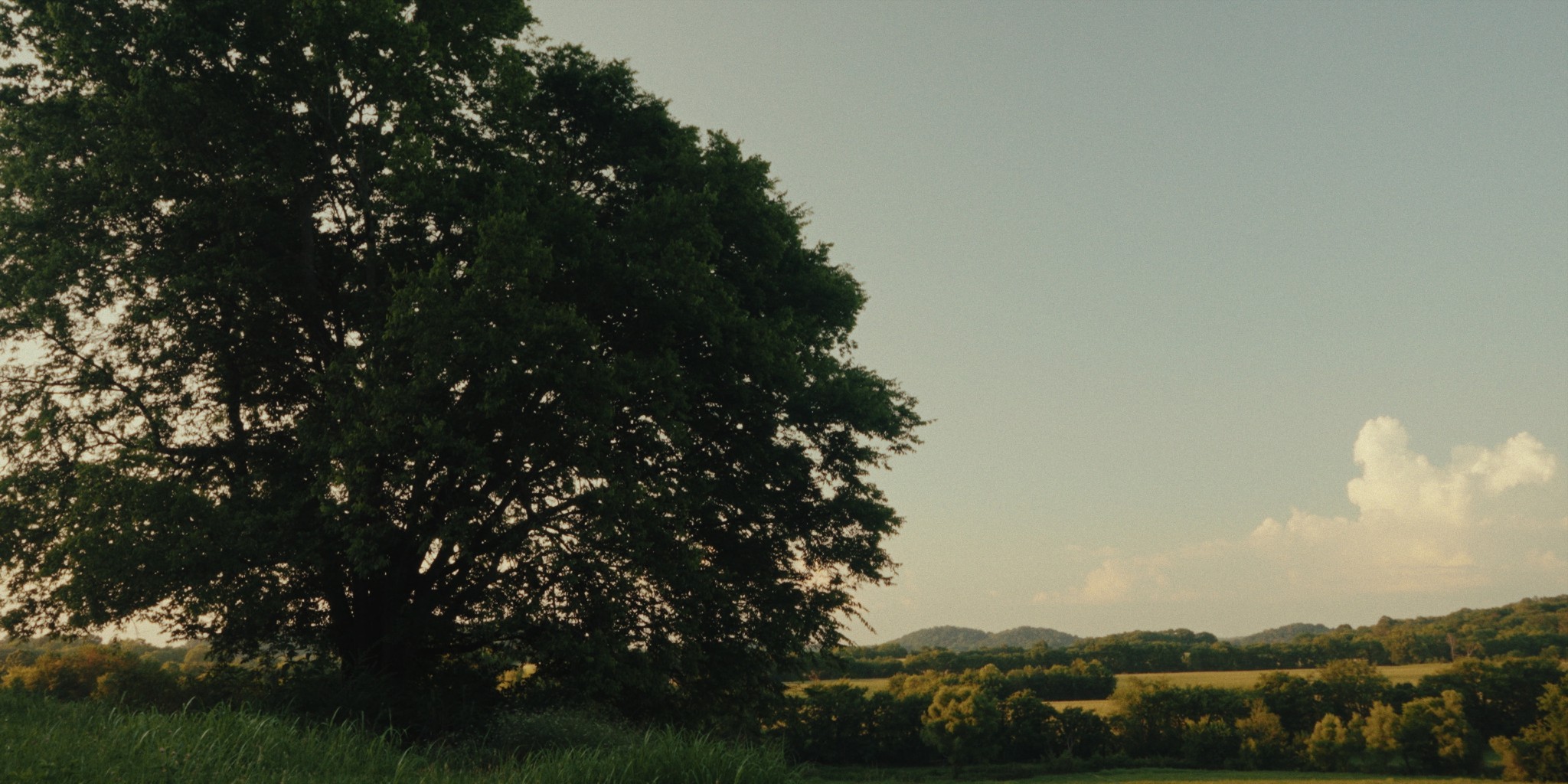 1914 Thompsons Station Rd W