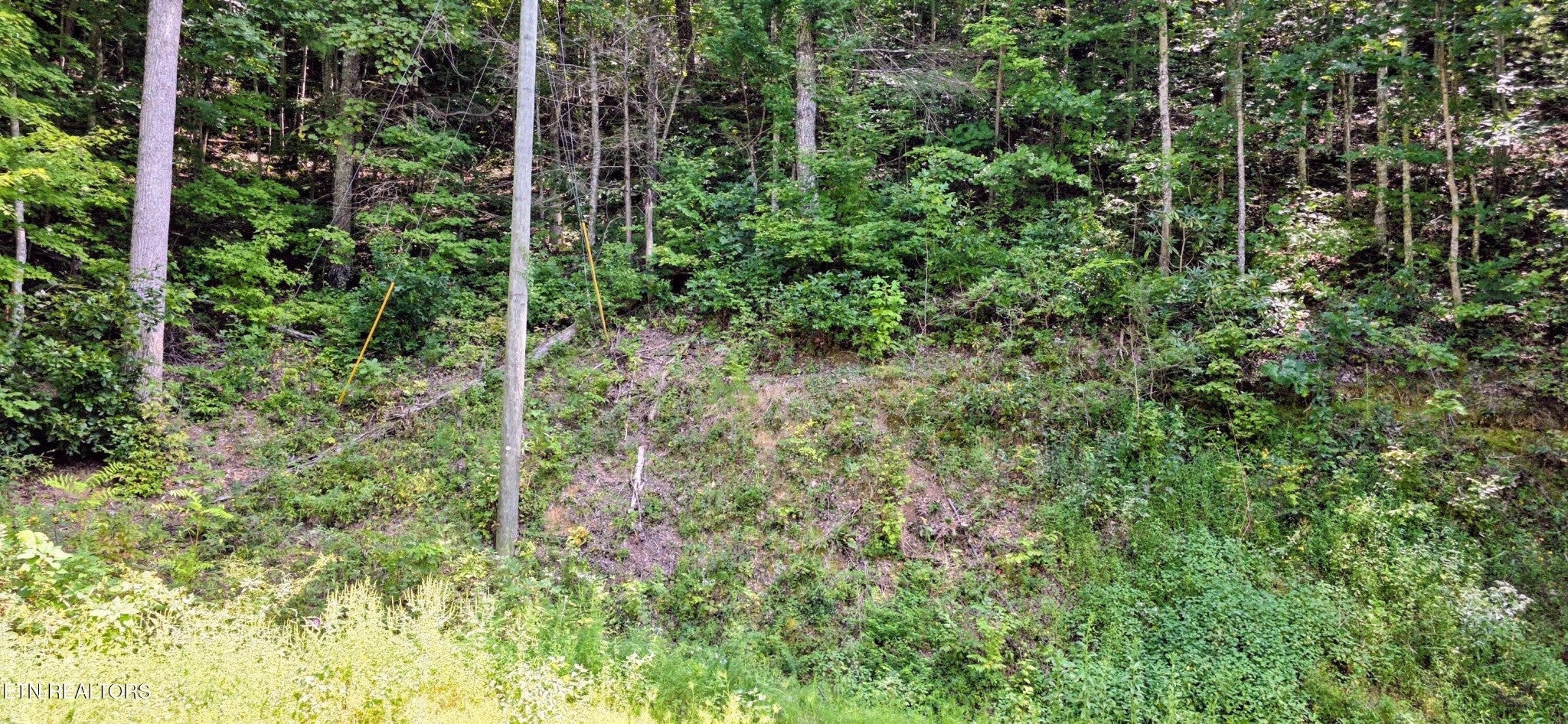 24 Sugar Maple Loop Rd