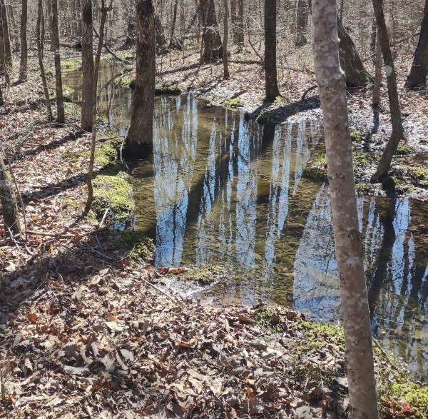 0 Deer Run Road