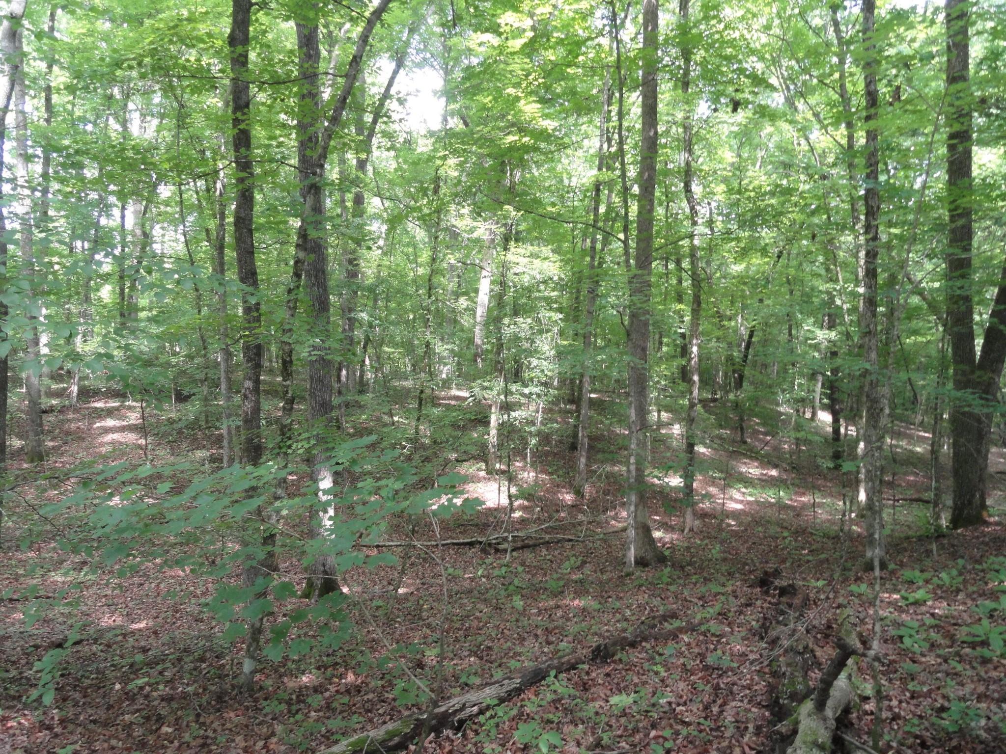 396 County Road 778