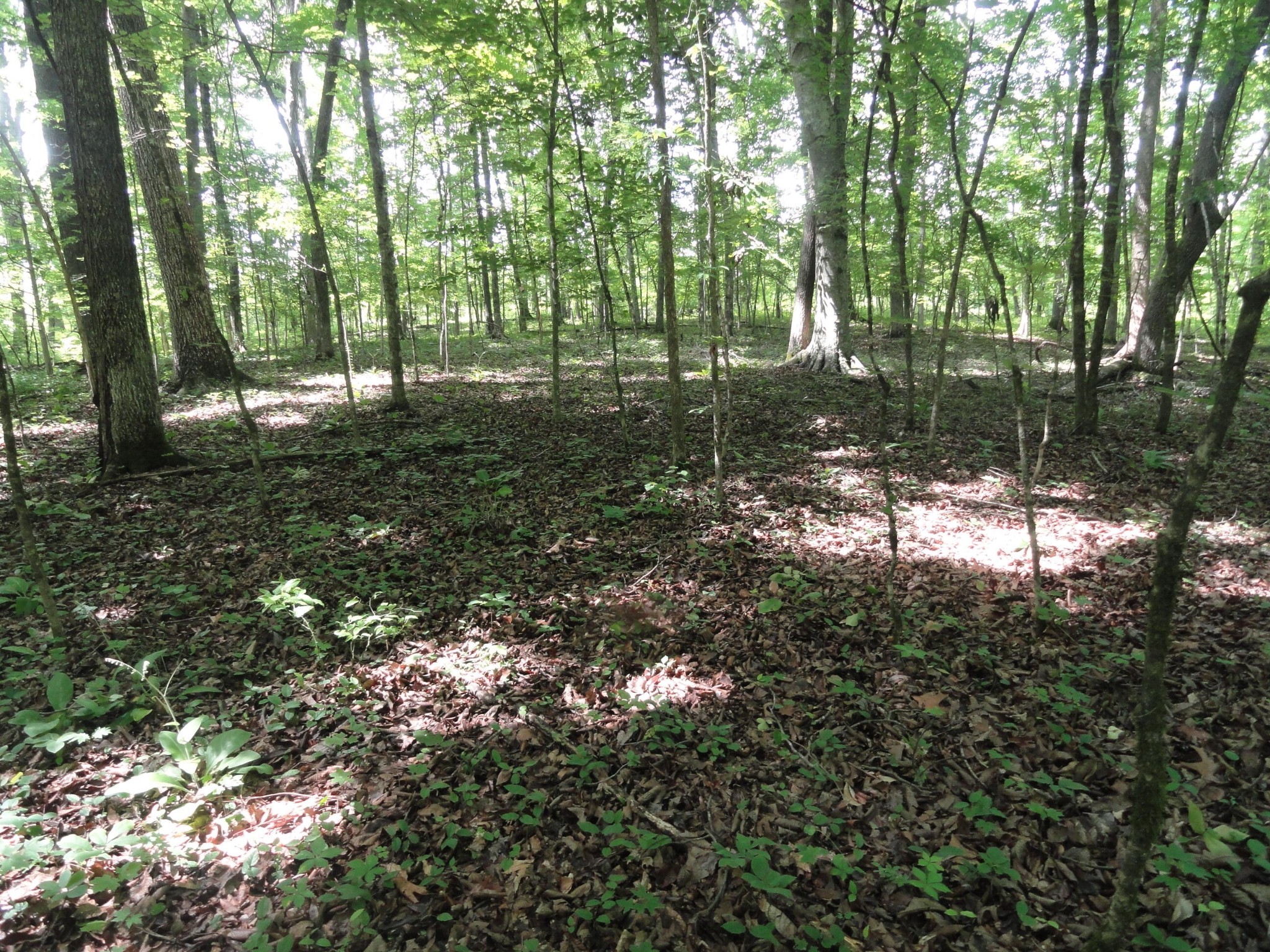 396 County Road 778