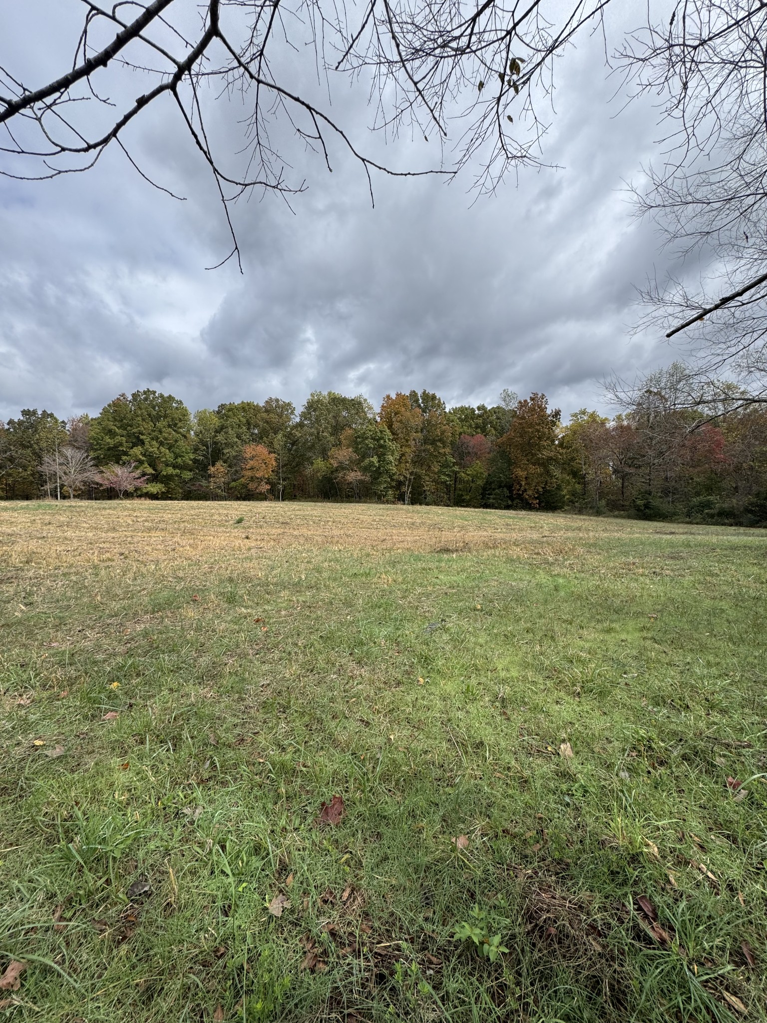 1165 Mount Pleasant Rd