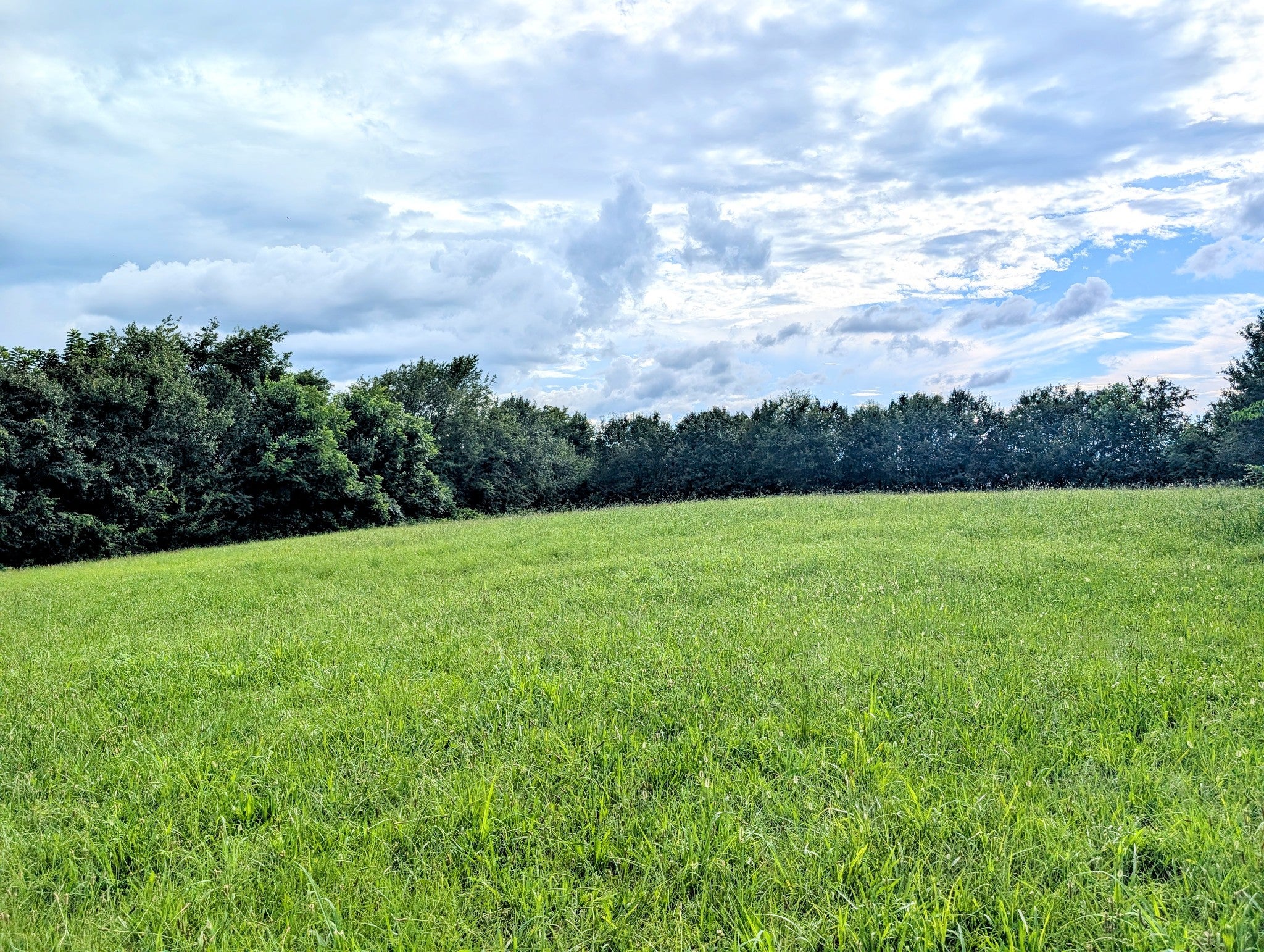 649 Blair Pond Rd