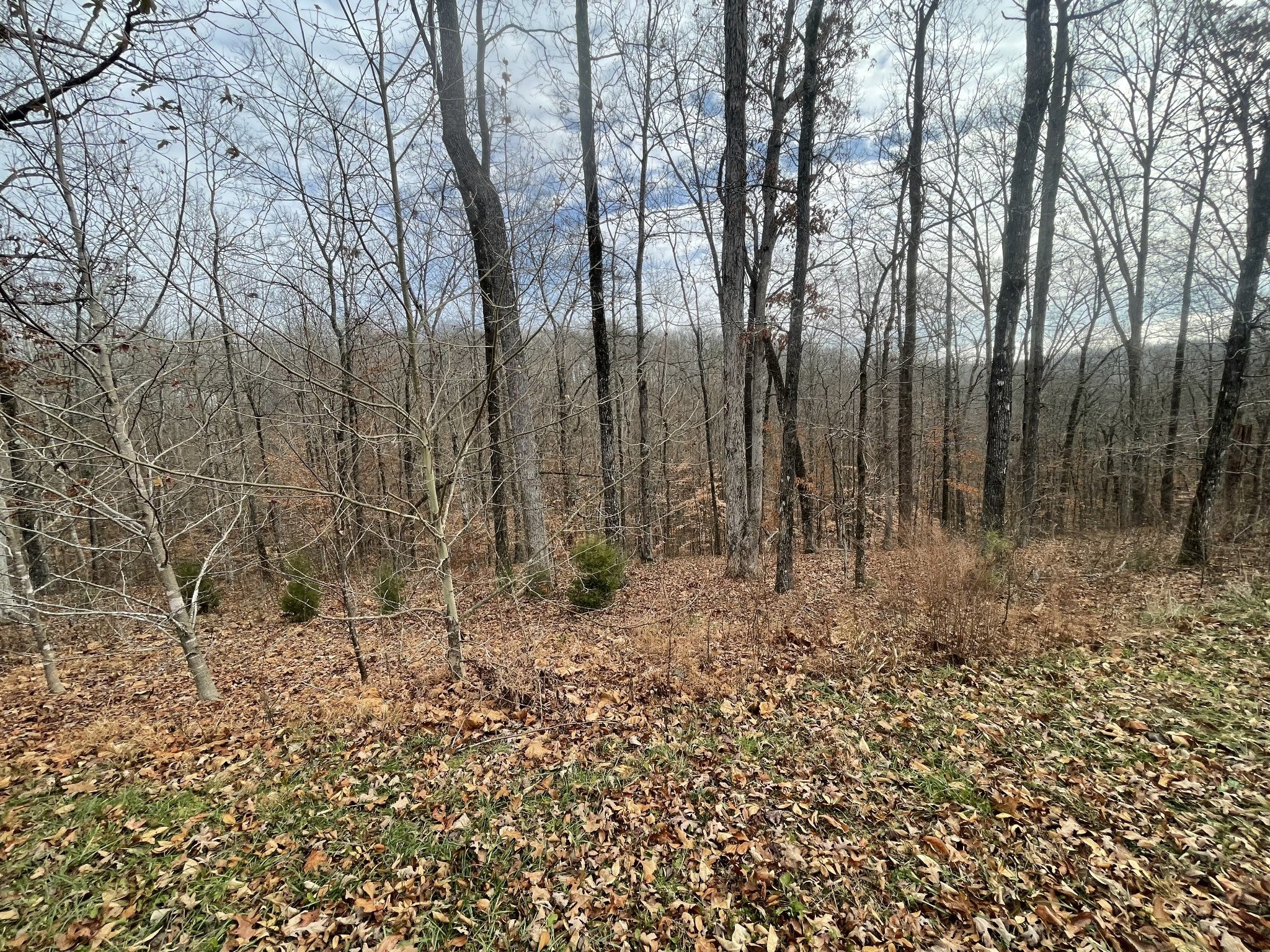 0 Stonebrook Drive