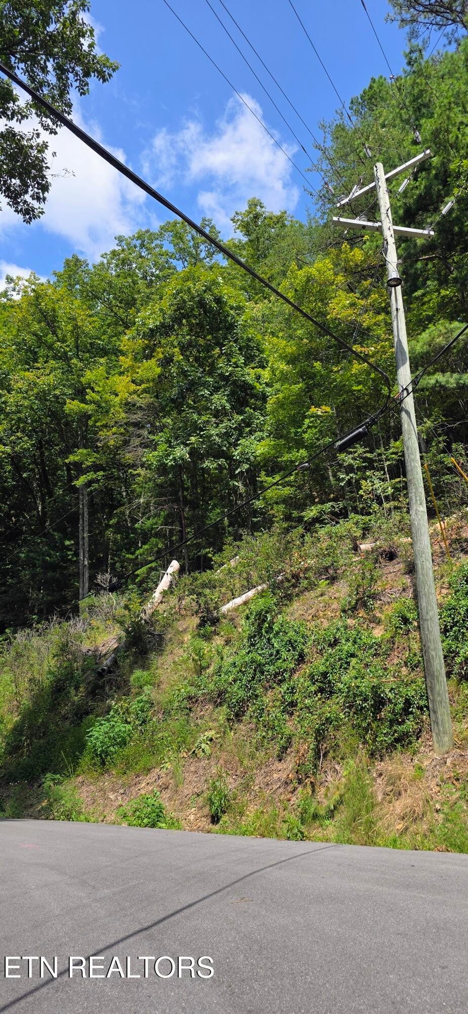 1 Black Walnut Flats Rd