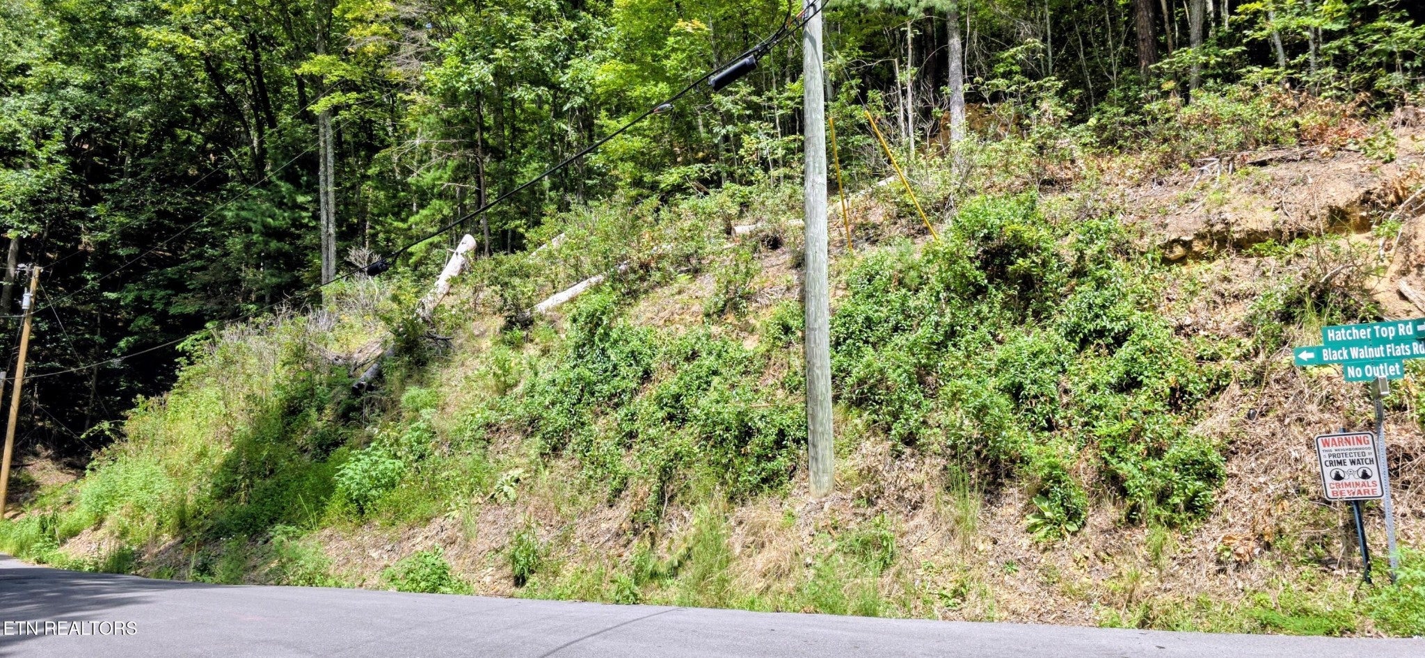 1 Black Walnut Flats Rd