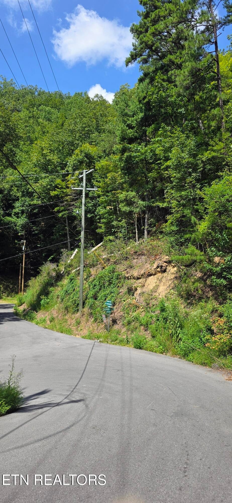 1 Black Walnut Flats Rd