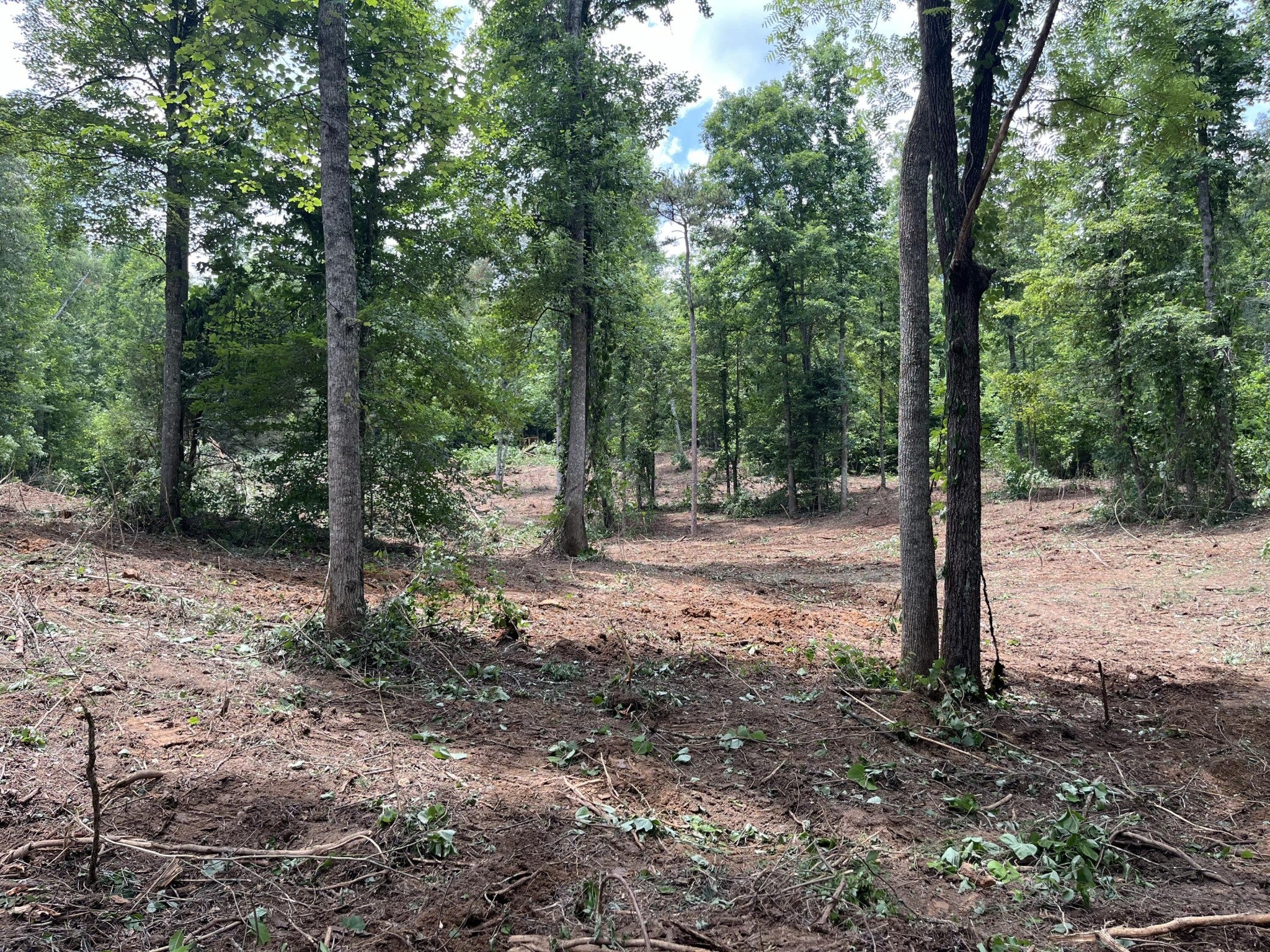 2277 Tellico Reliance Road