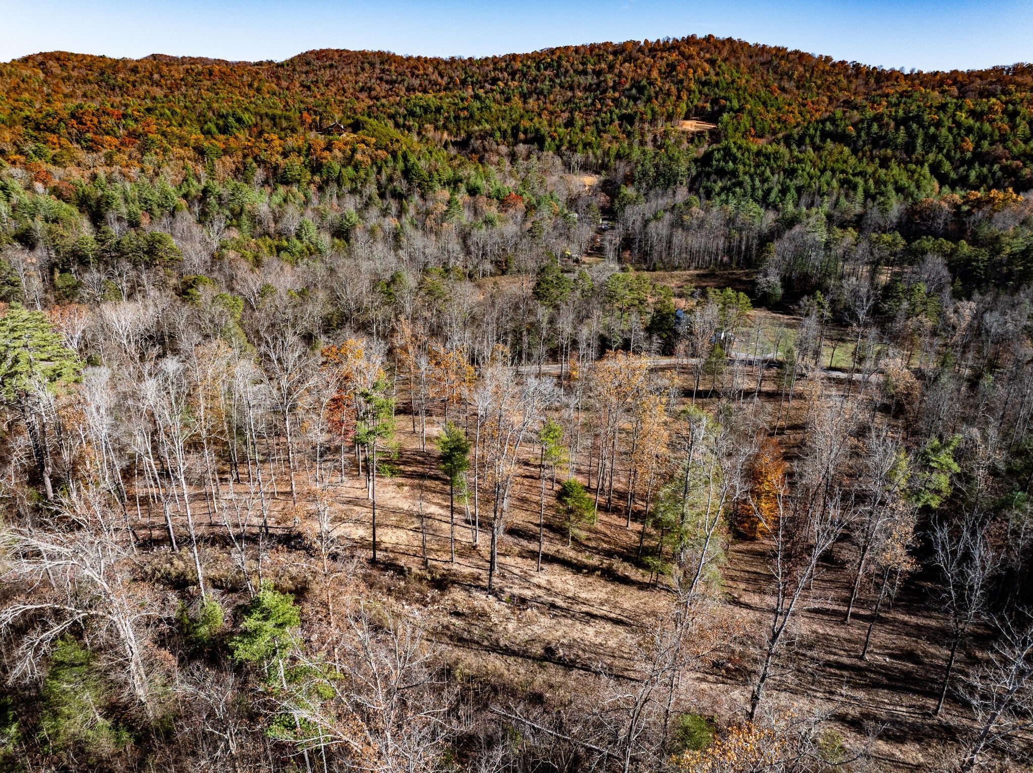 2277 Tellico Reliance Road