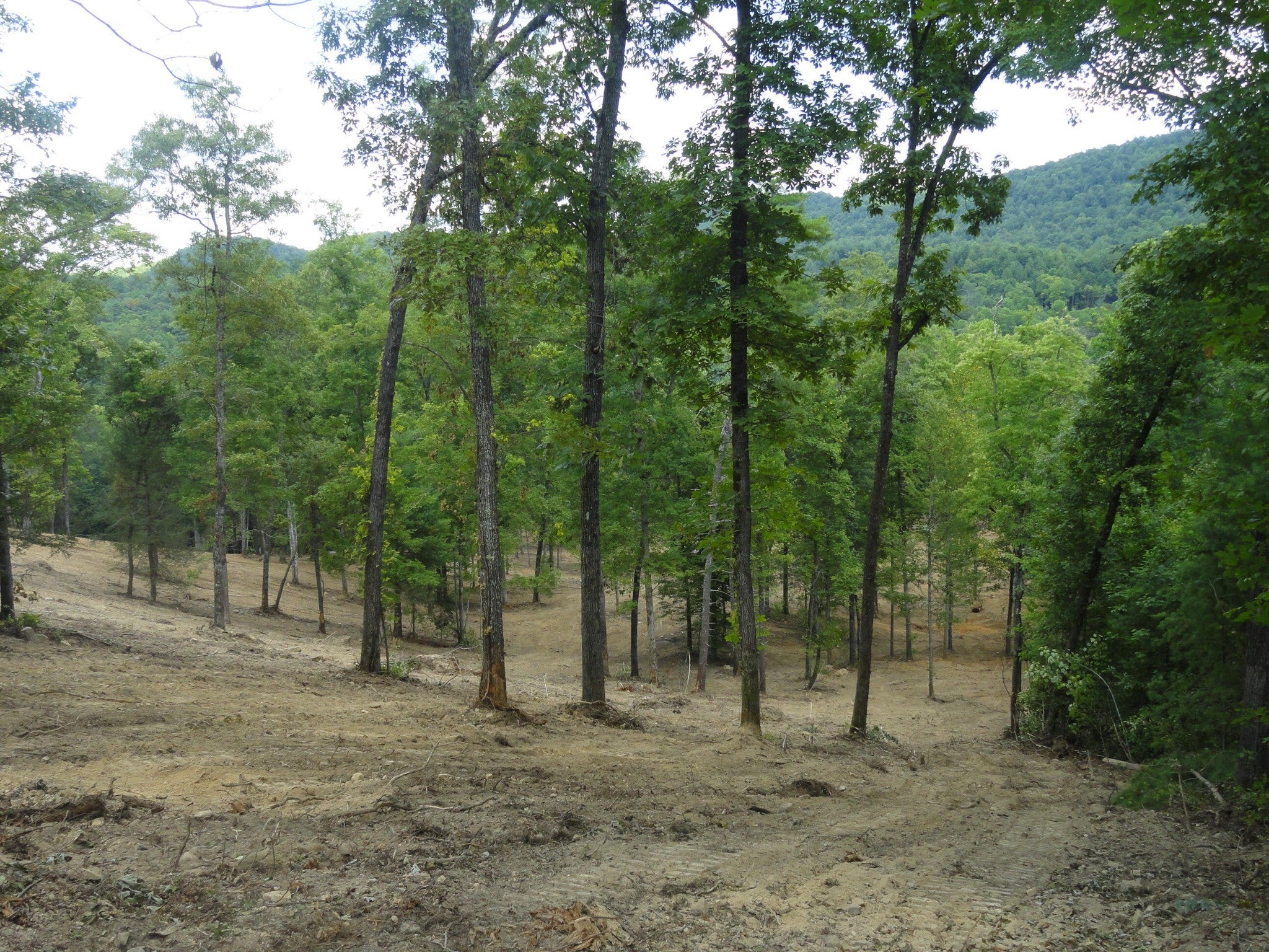 2277 Tellico Reliance Road