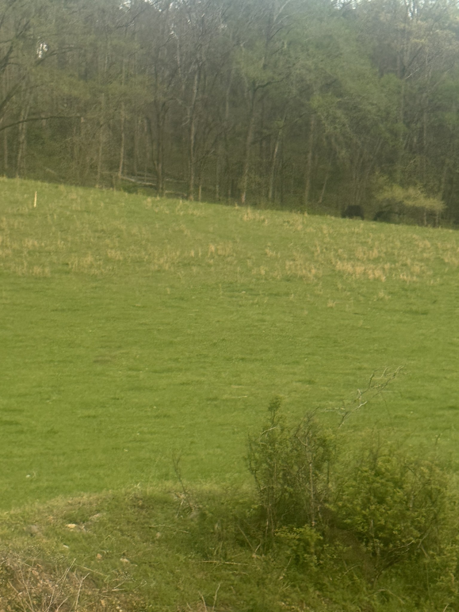 419 Tillman Hollow Rd