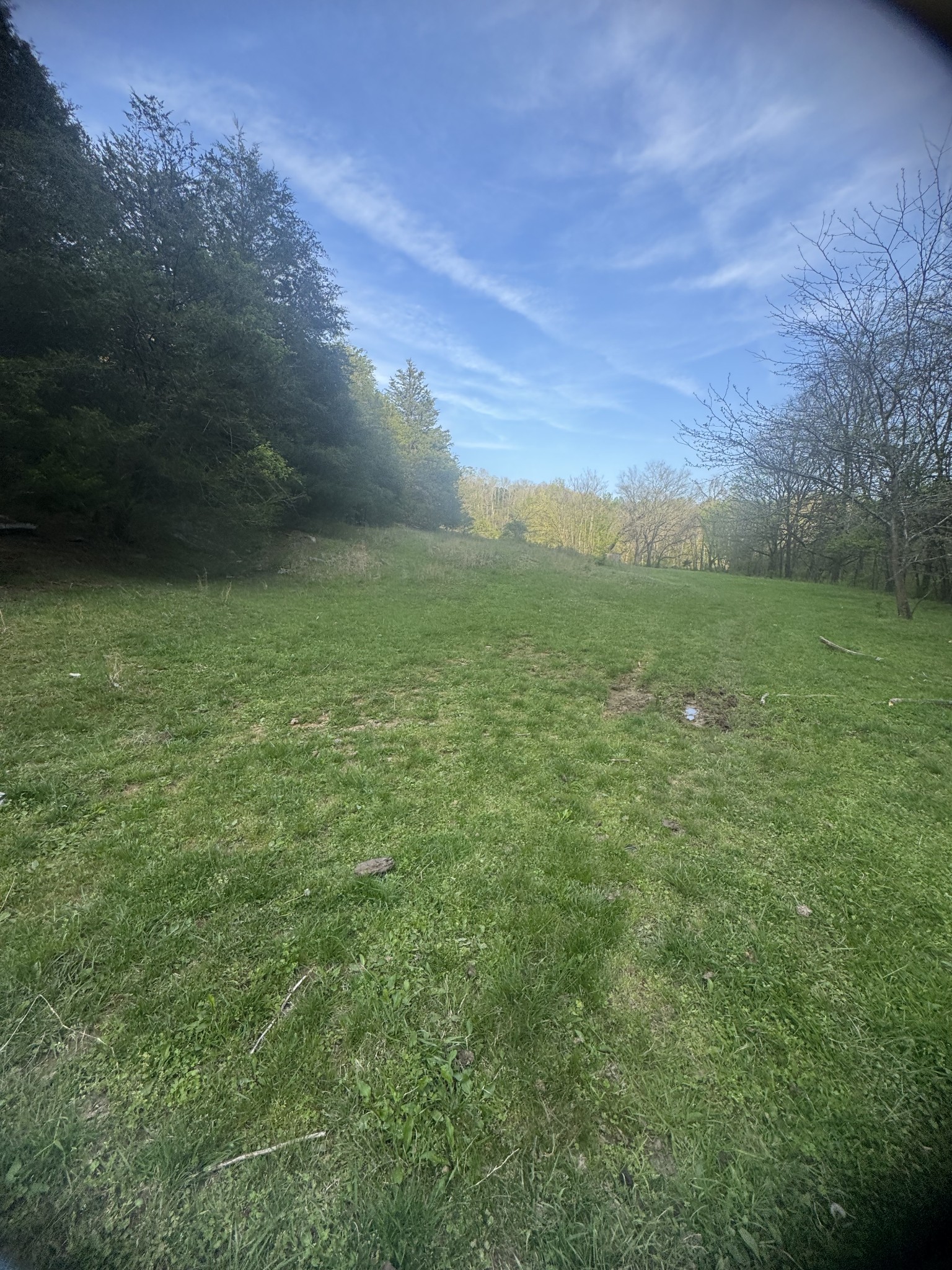 419 Tillman Hollow Rd