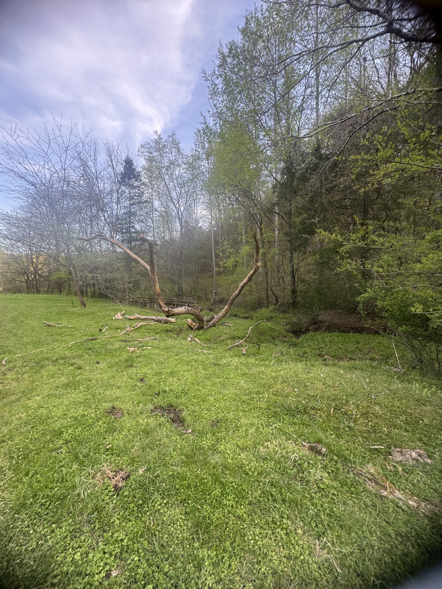 419 Tillman Hollow Rd