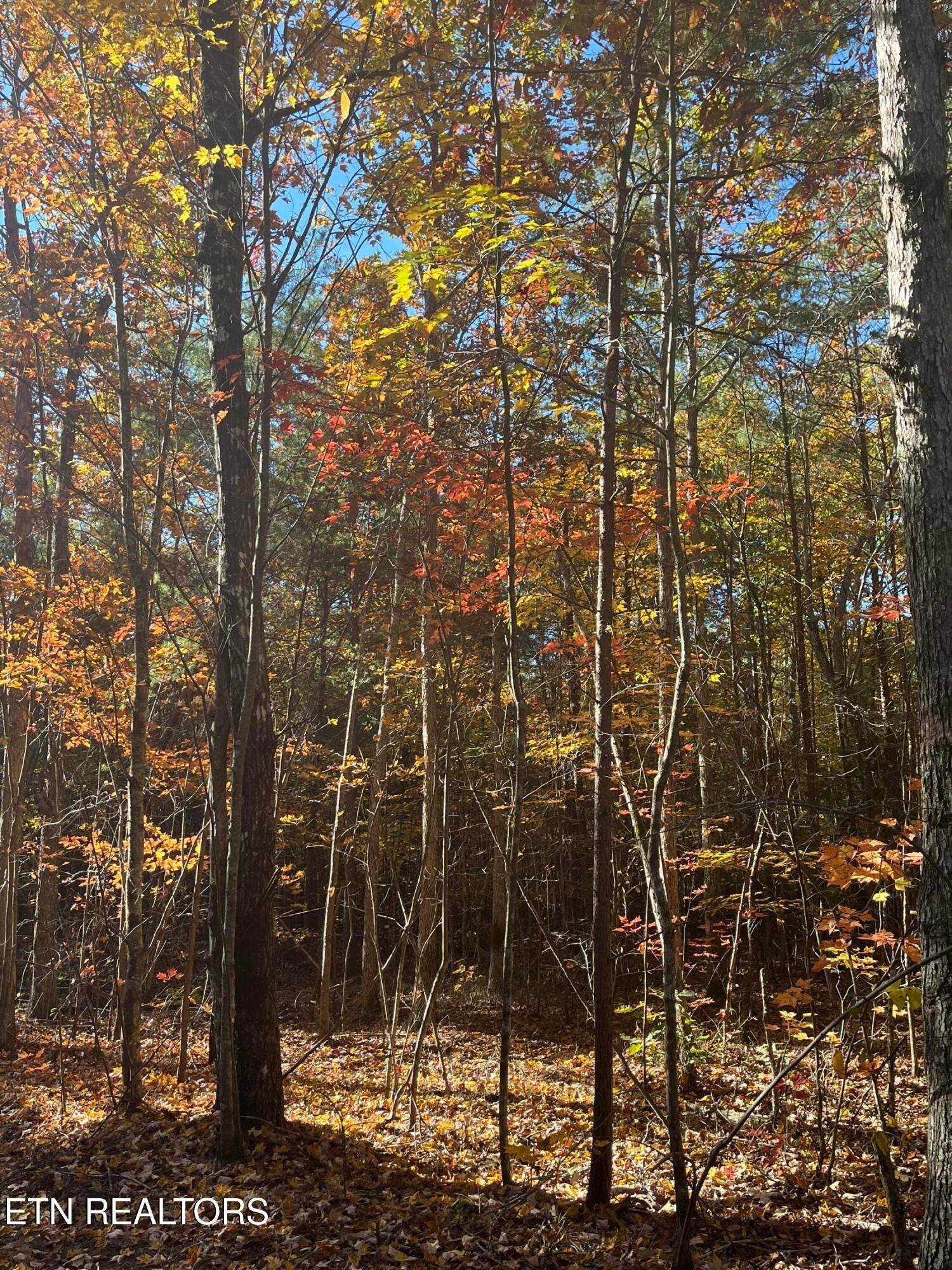 109 Cherokee Path