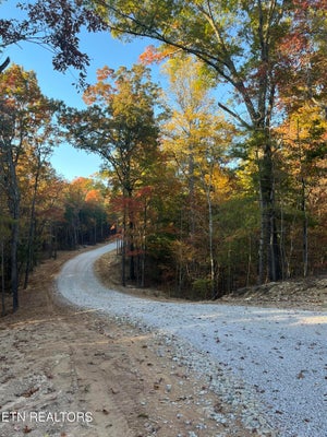 109 CHEROKEE PATH, TELLICO PLAINS, TN 37385 - Image b5d8f88720ac321436f6cdecb63ddb7b/4130682301