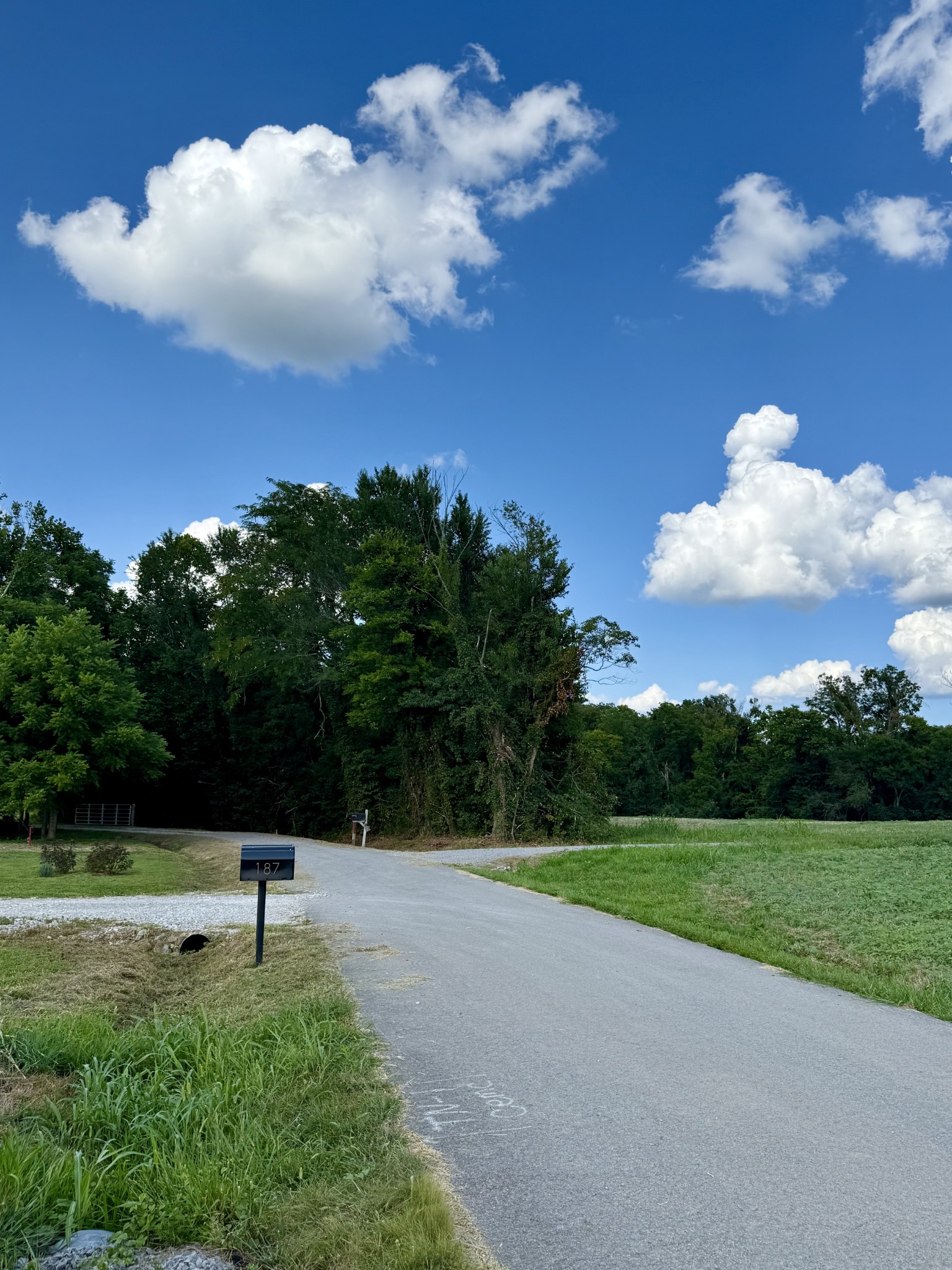 165 Perdue Cemetery Rd