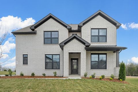 Photo of 287 Johnnys Place, Mount Juliet, TN 37122 (MLS # 3169158)