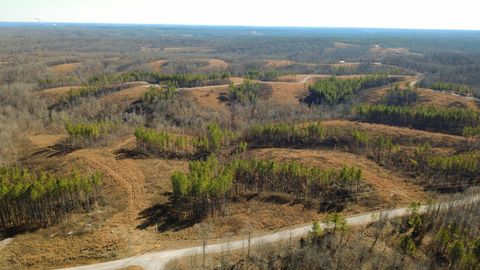 45 Saddleback Dr Dover TN 37058