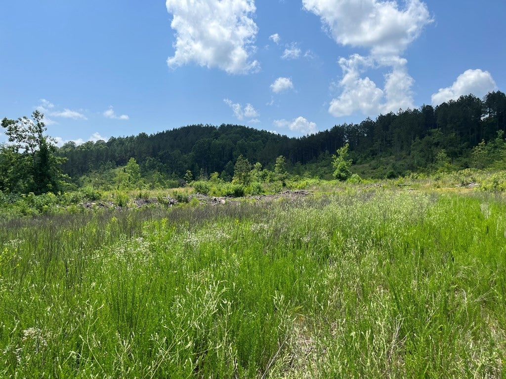 0 County Road 53
