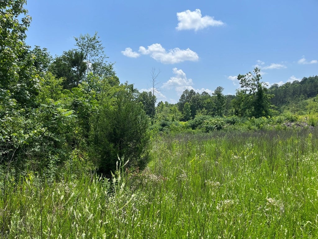 0 County Road 53