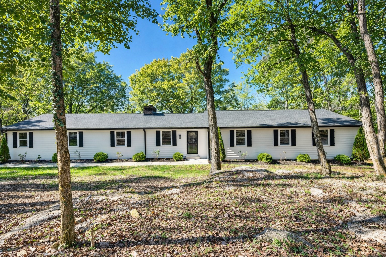 228 Forest Trl