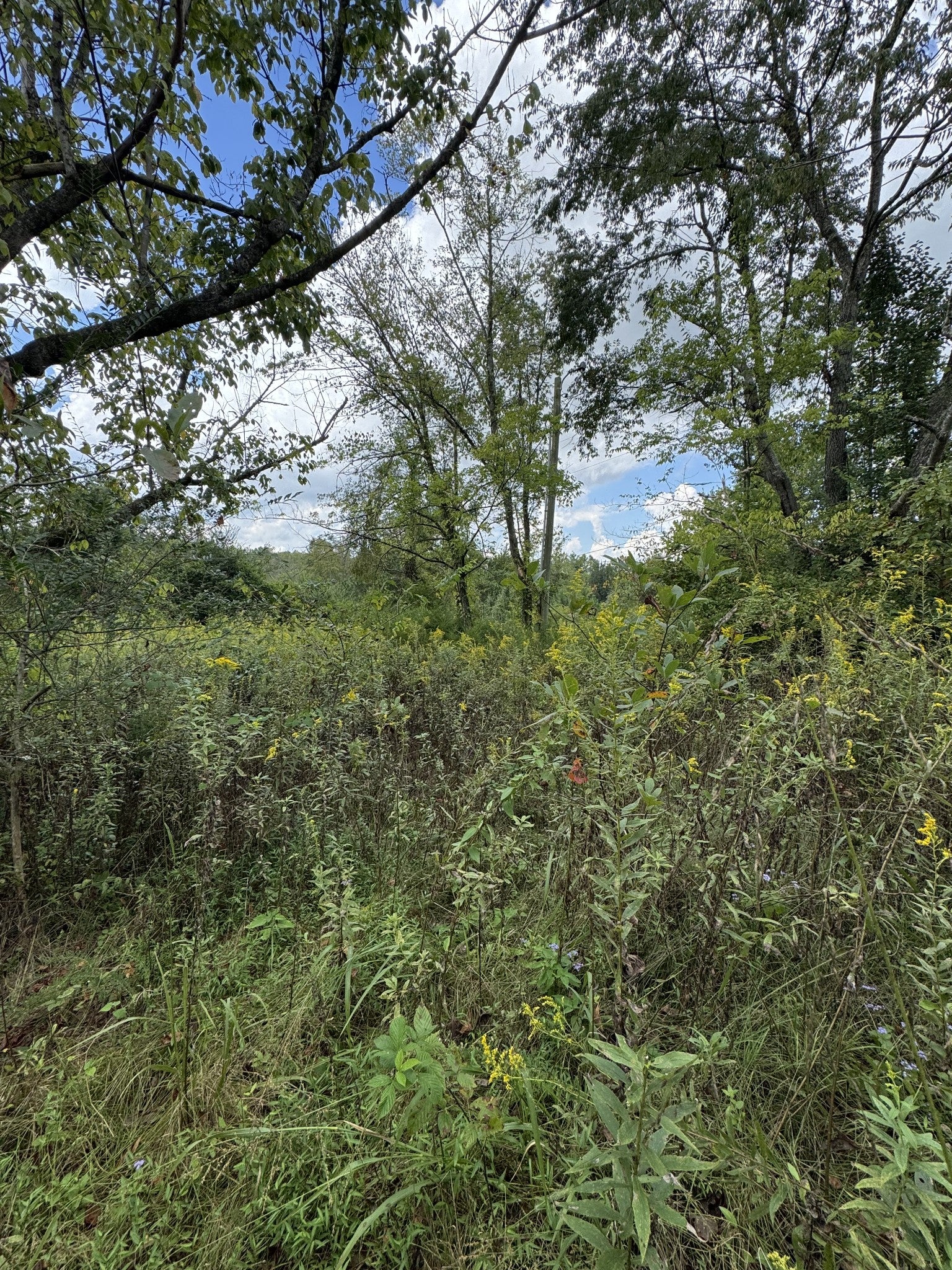 230 Running Meadows Rd