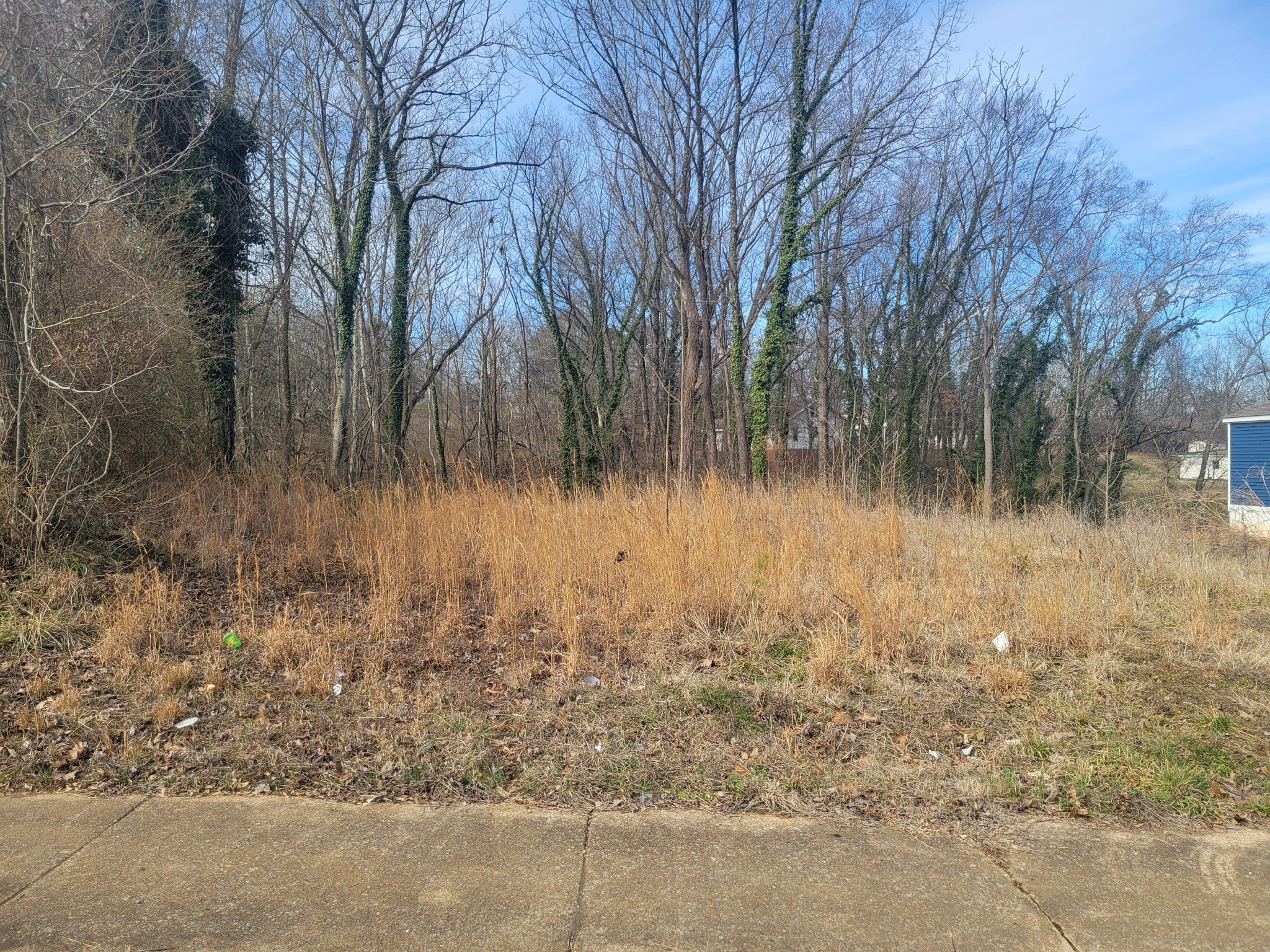 181 VALLEY OAK DRIVE