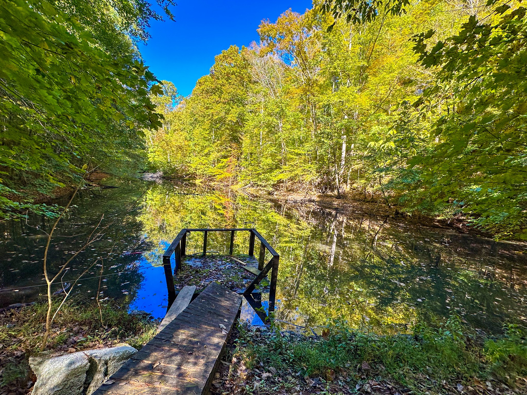 125 Rhoades Ln