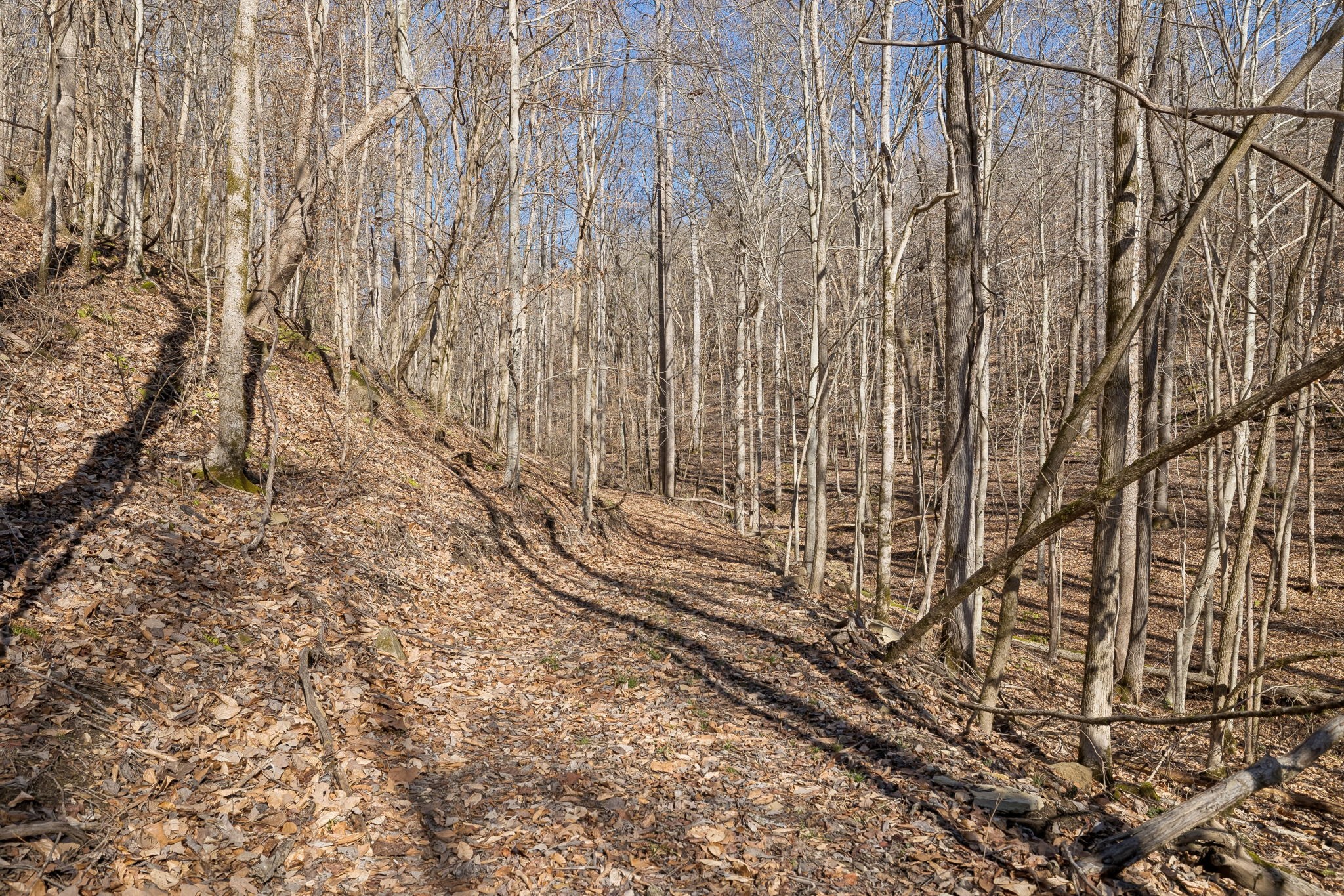 0 Hurricane Creek Road