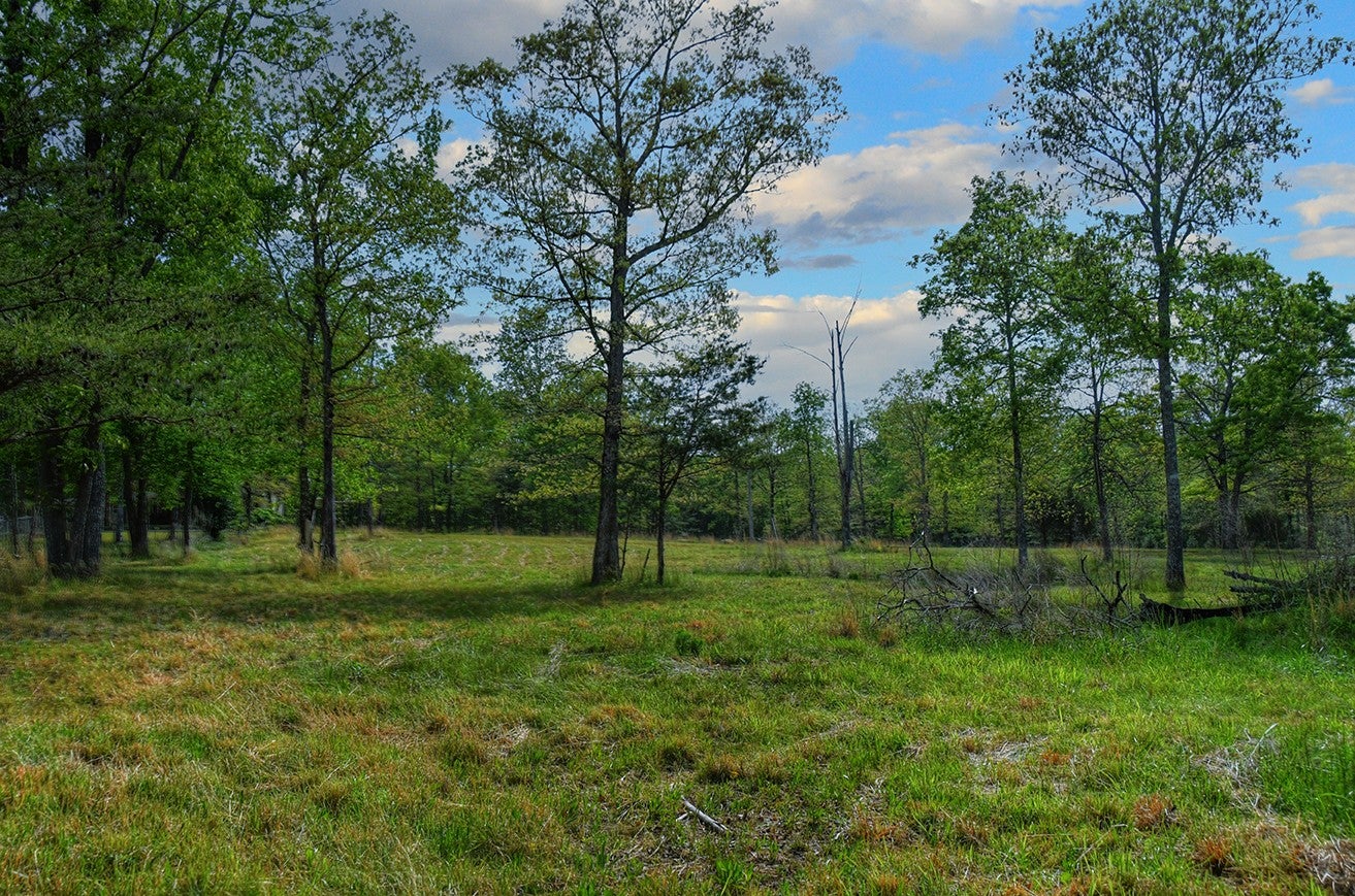 607 Monteagle Falls Rd