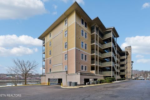 3001 River Towne Way 304 Knoxville TN 37920