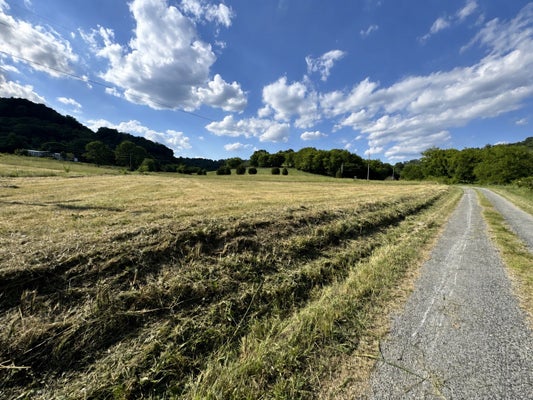 0 DUKE HOLLOW LN, CARTHAGE, TN 37030 - Image b749c4dbc7fa11b4db6f04864aa370c2/1741399724