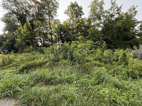0 White St Shelbyville TN 37160