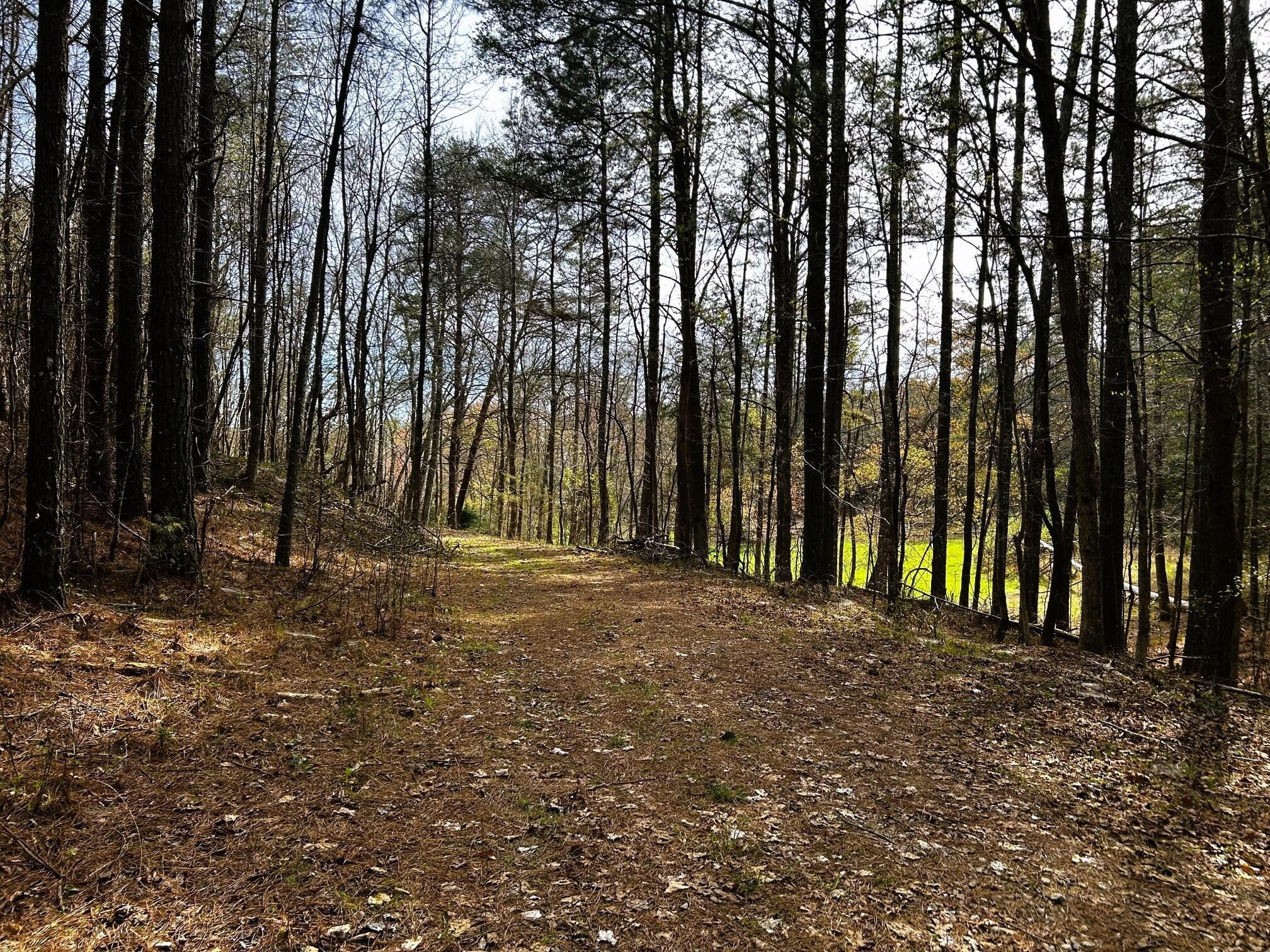 7 SW Owl Hollow Road