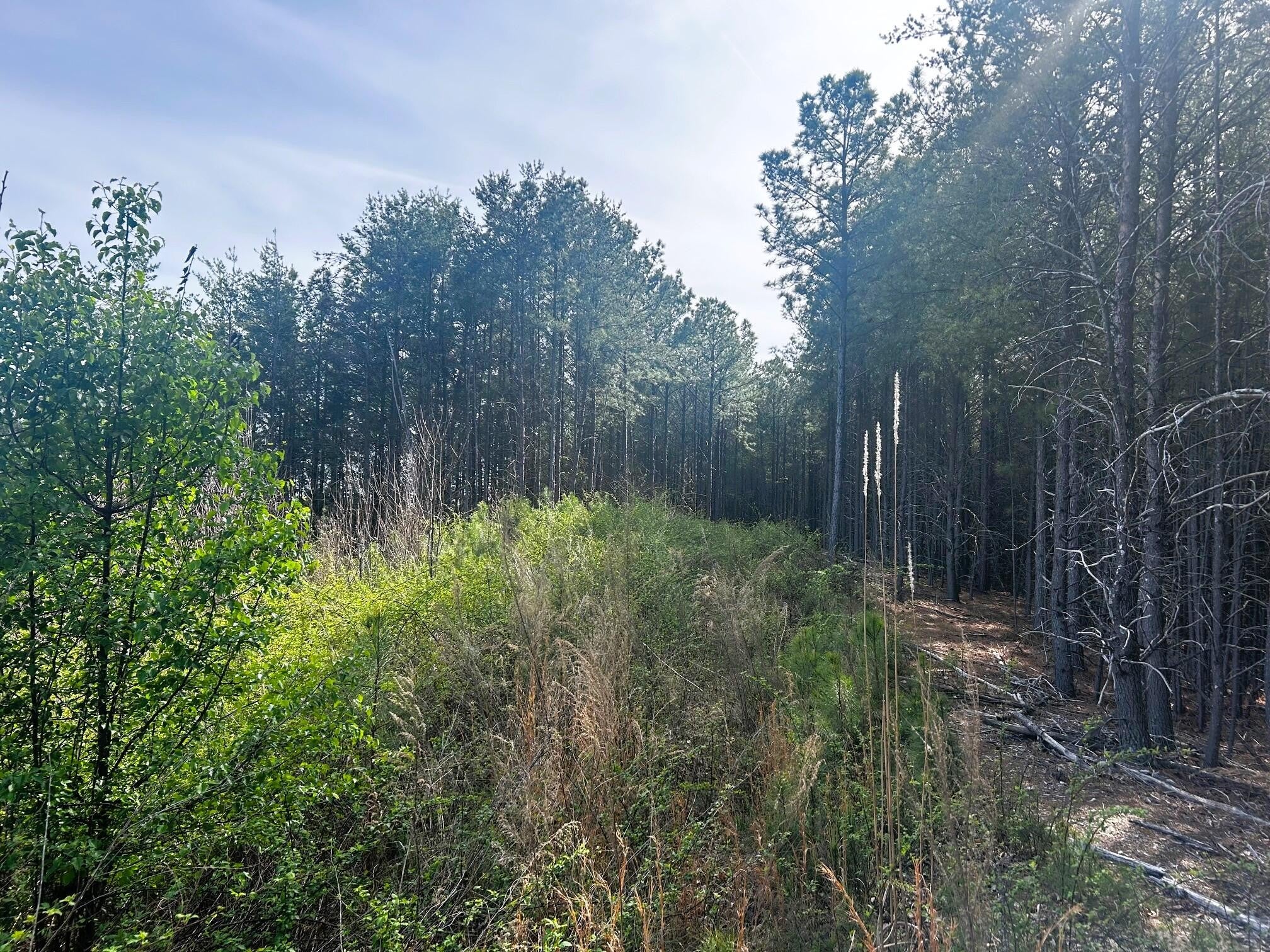 7 SW Owl Hollow Road