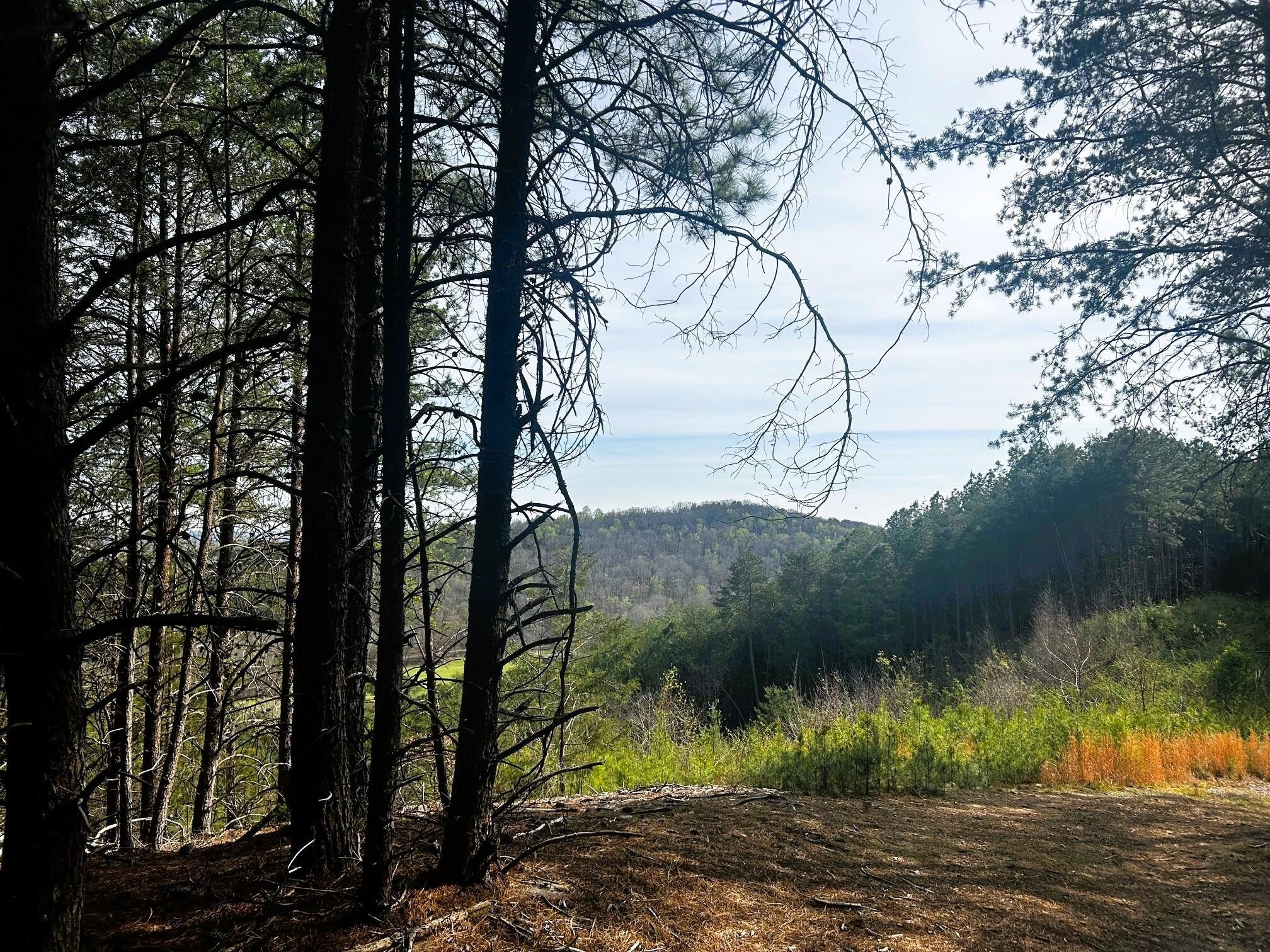 7 SW Owl Hollow Road