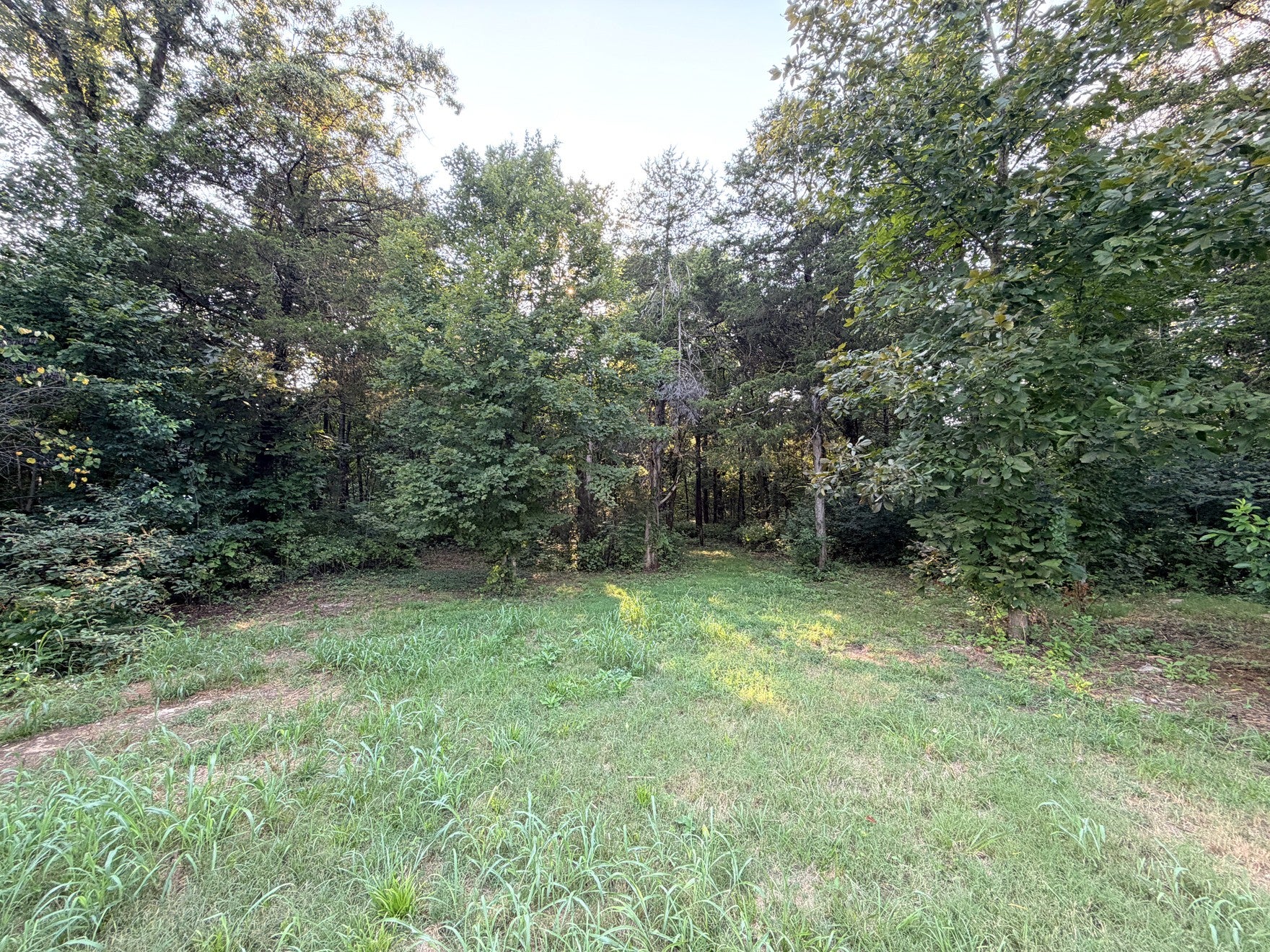 115 Rockingham Dr