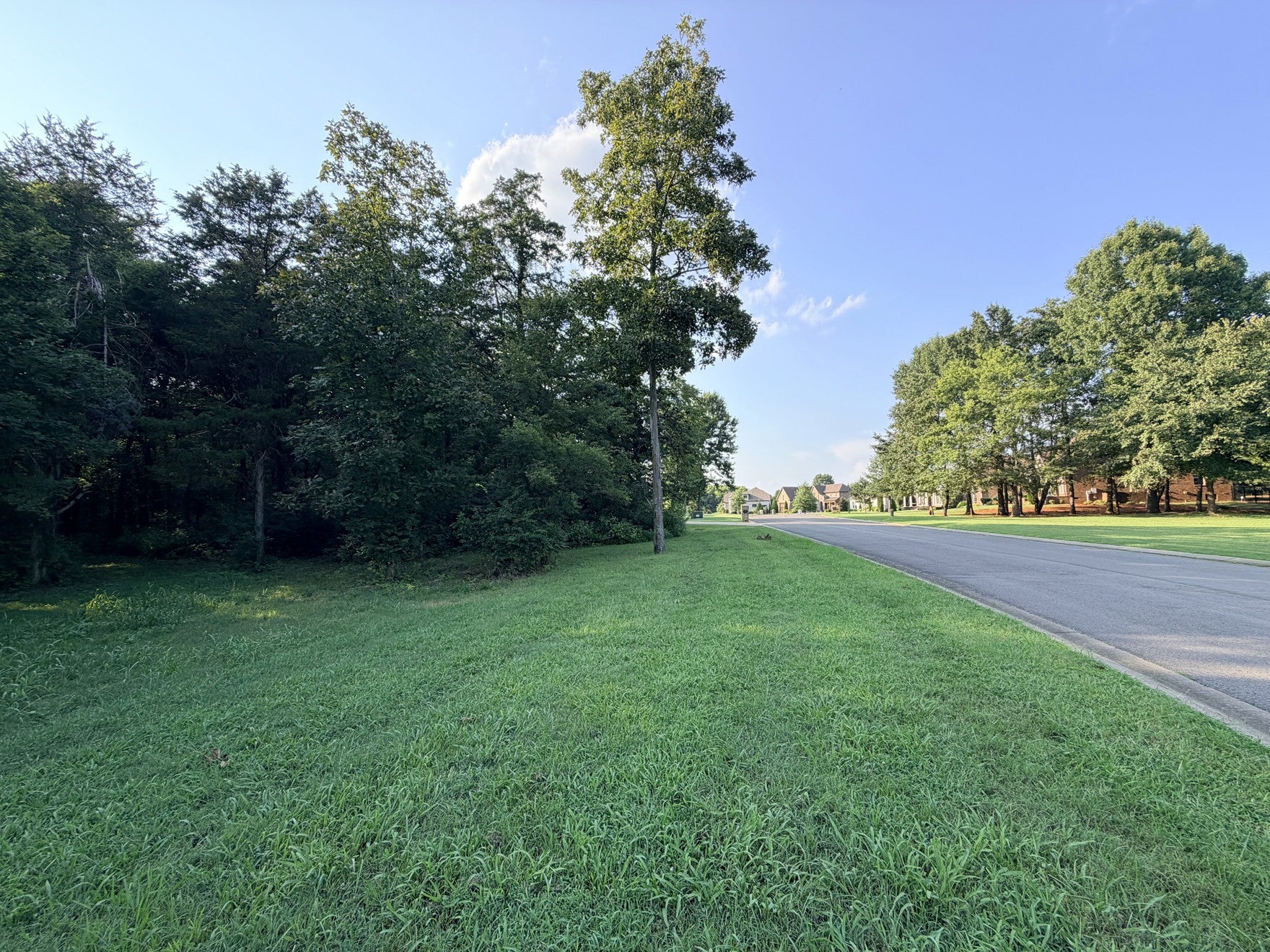 115 Rockingham Dr