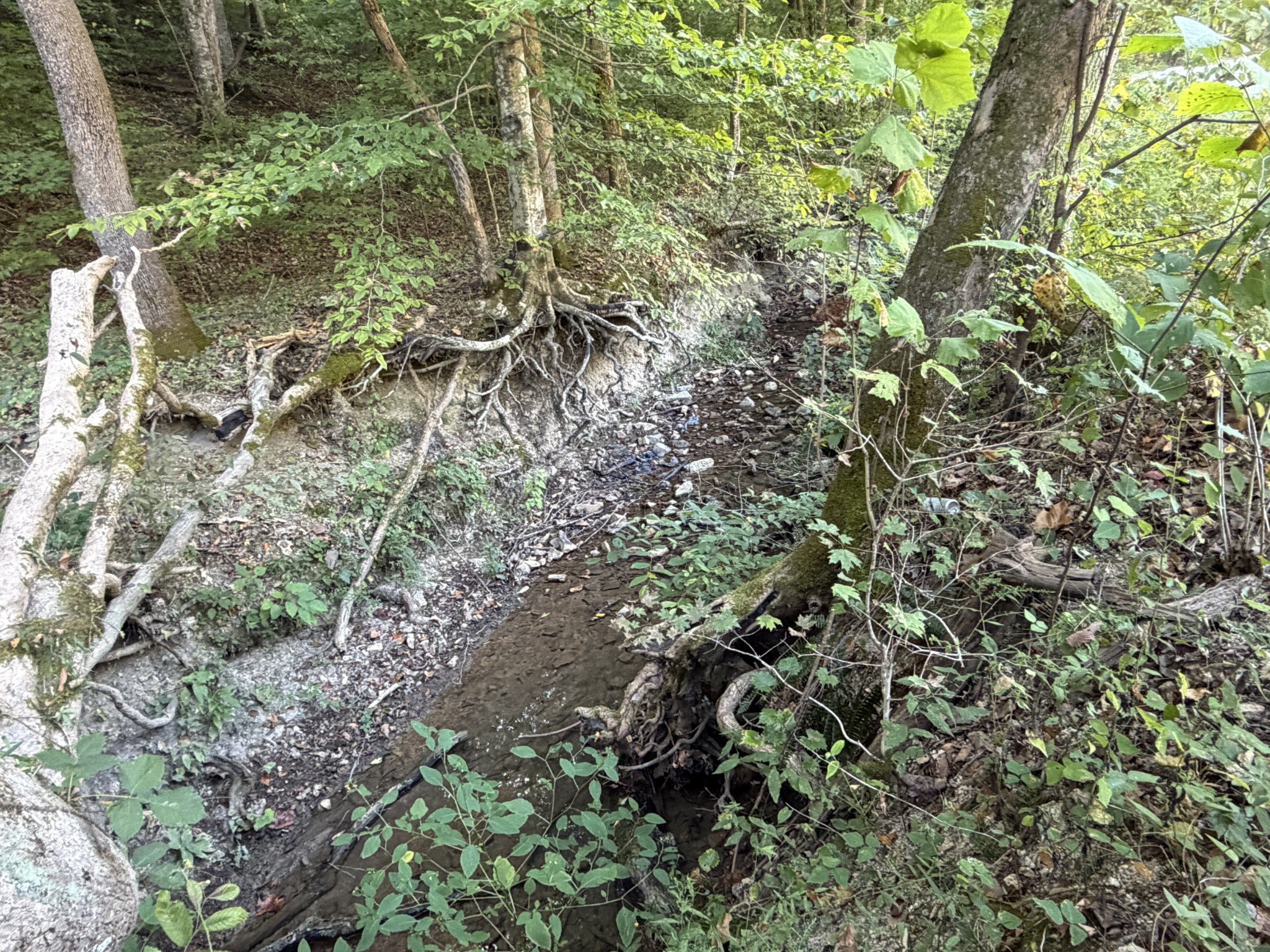 1928 Swindle Creek Rd