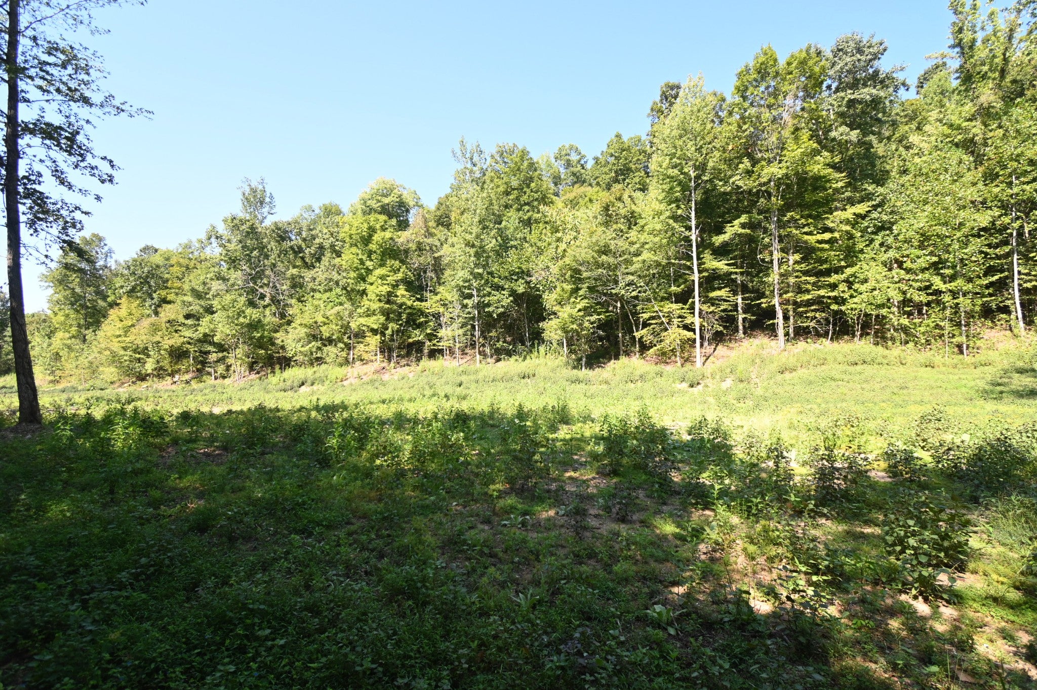 1928 Swindle Creek Rd