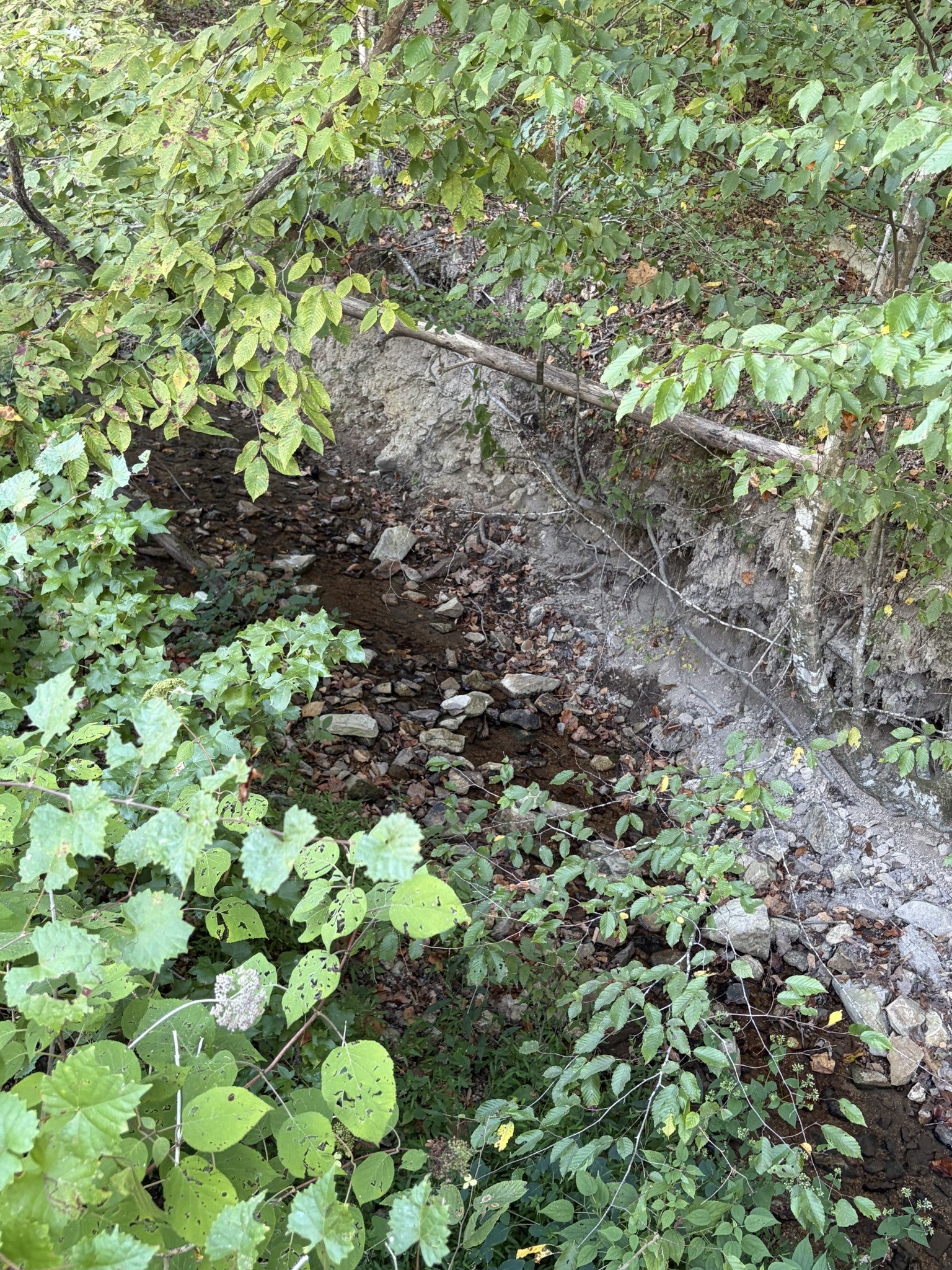 1928 Swindle Creek Rd