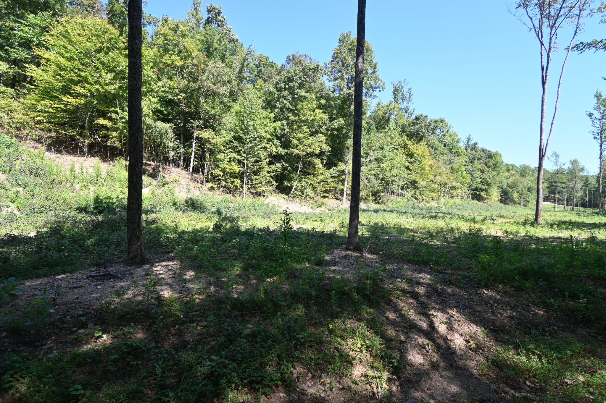 1928 Swindle Creek Rd