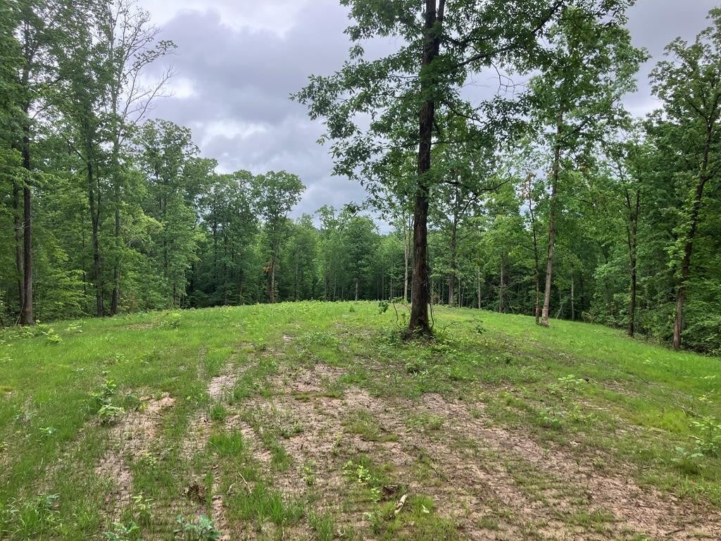 213 Wynn Ferry Rd