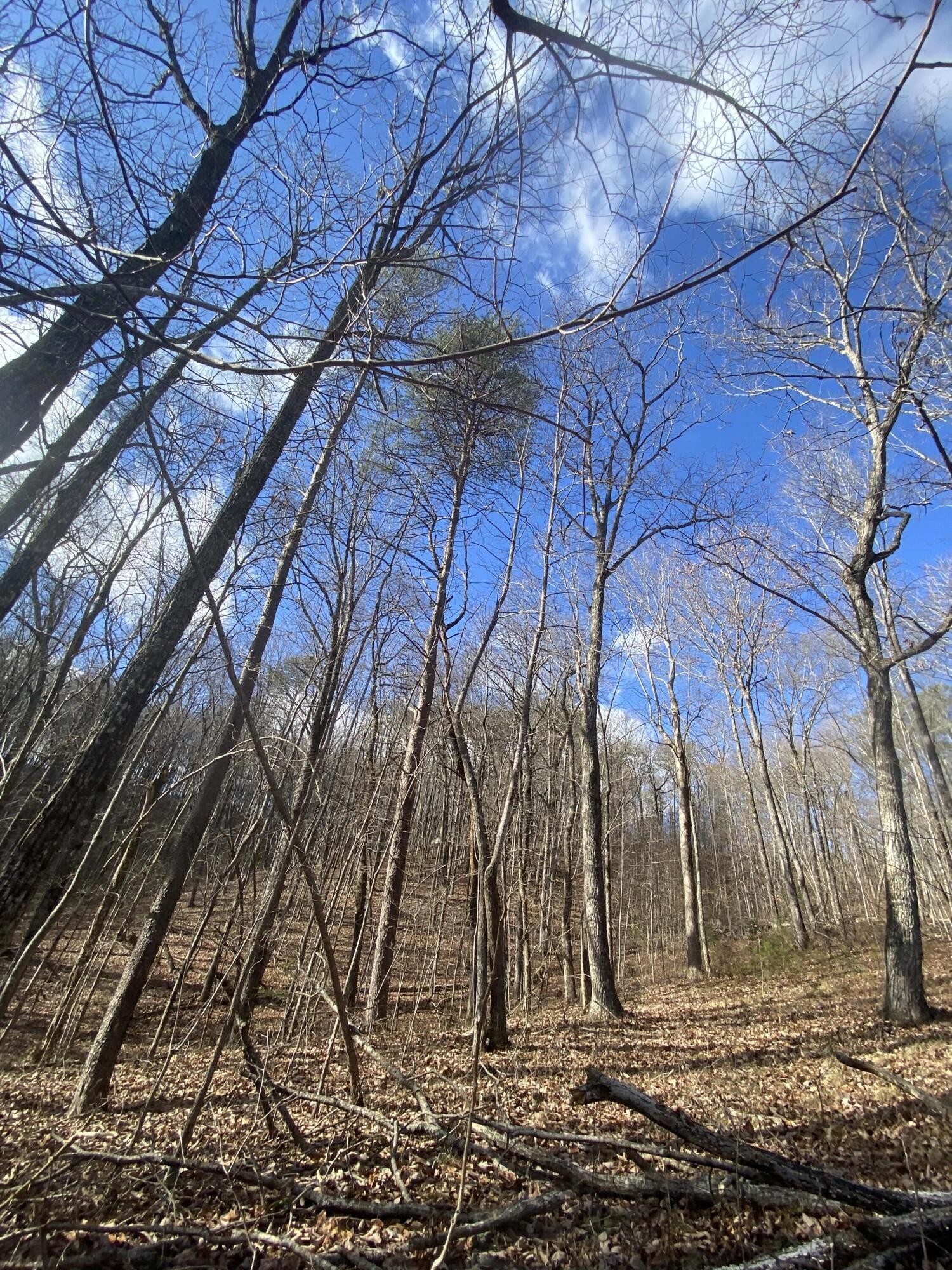 0 Bluff View Drive