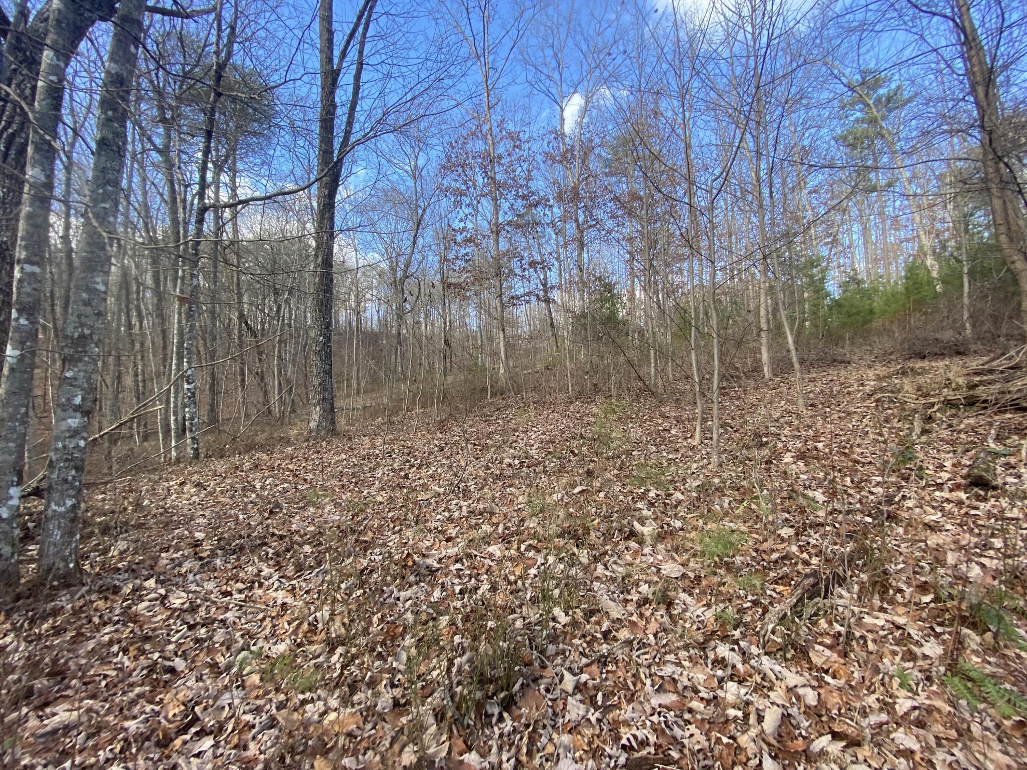 0 Bluff View Drive