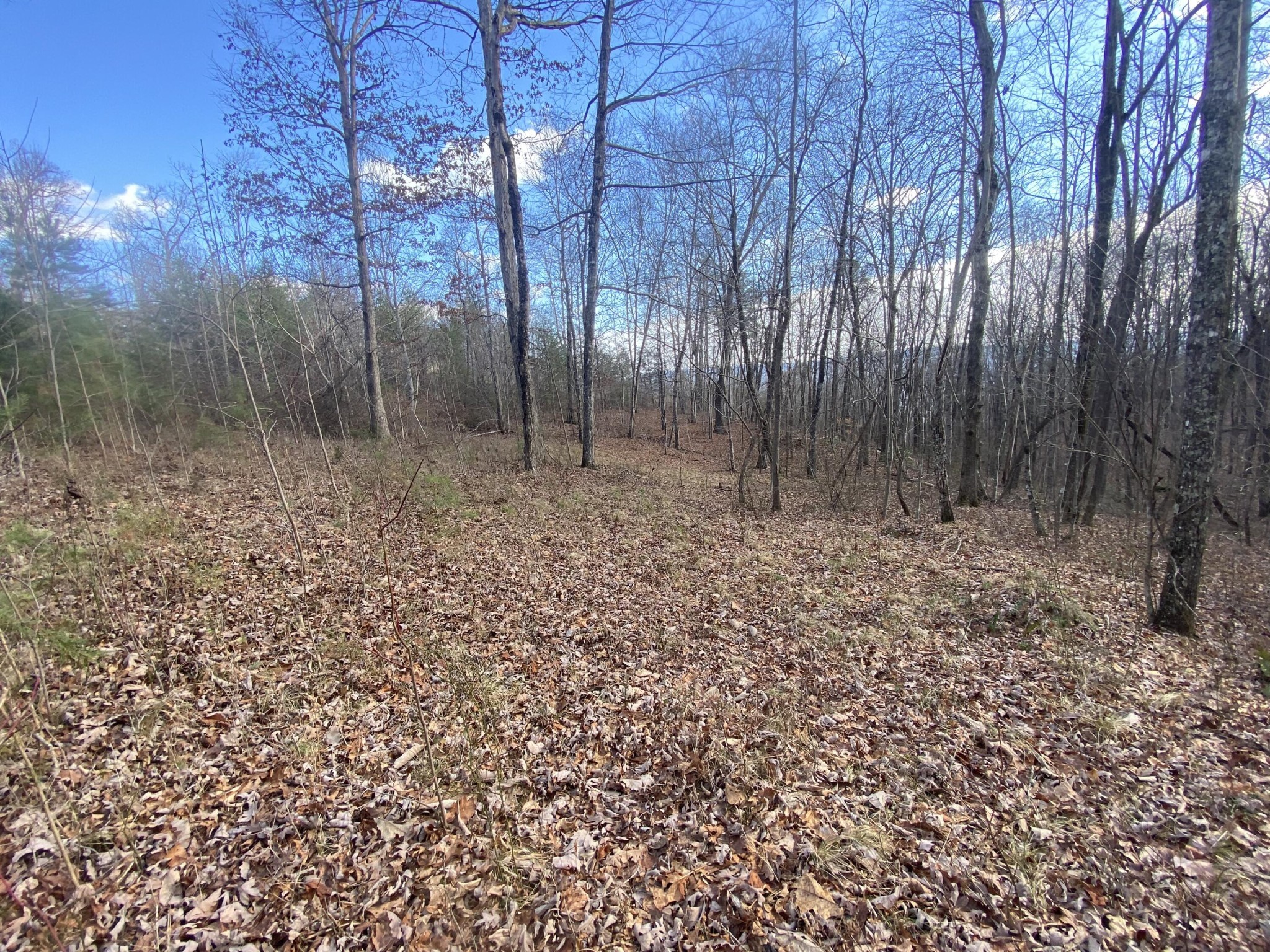 0 Bluff View Drive