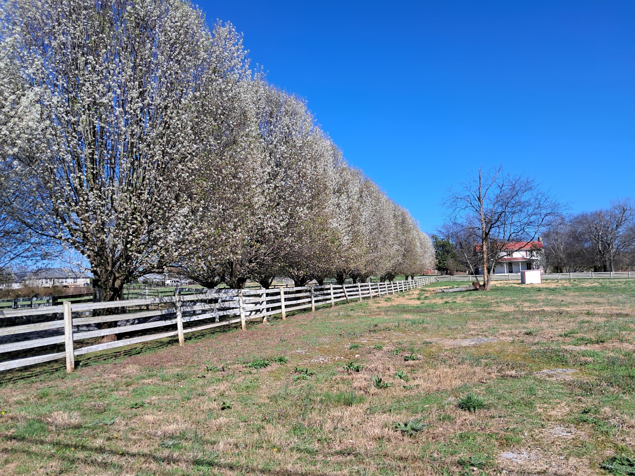 Middle Tennessee Properties 3 1211 Old Highway 99
