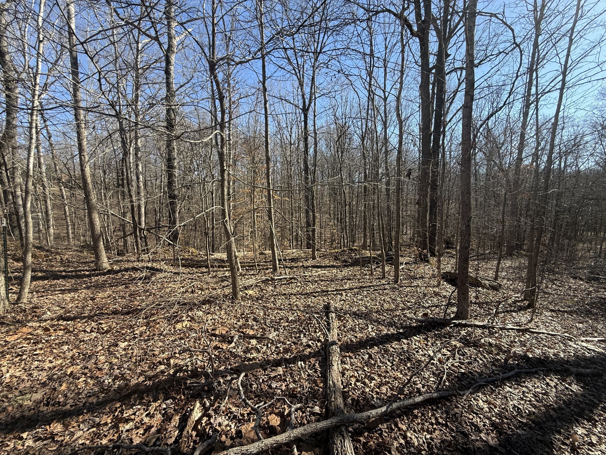 26 Backwoods Estates