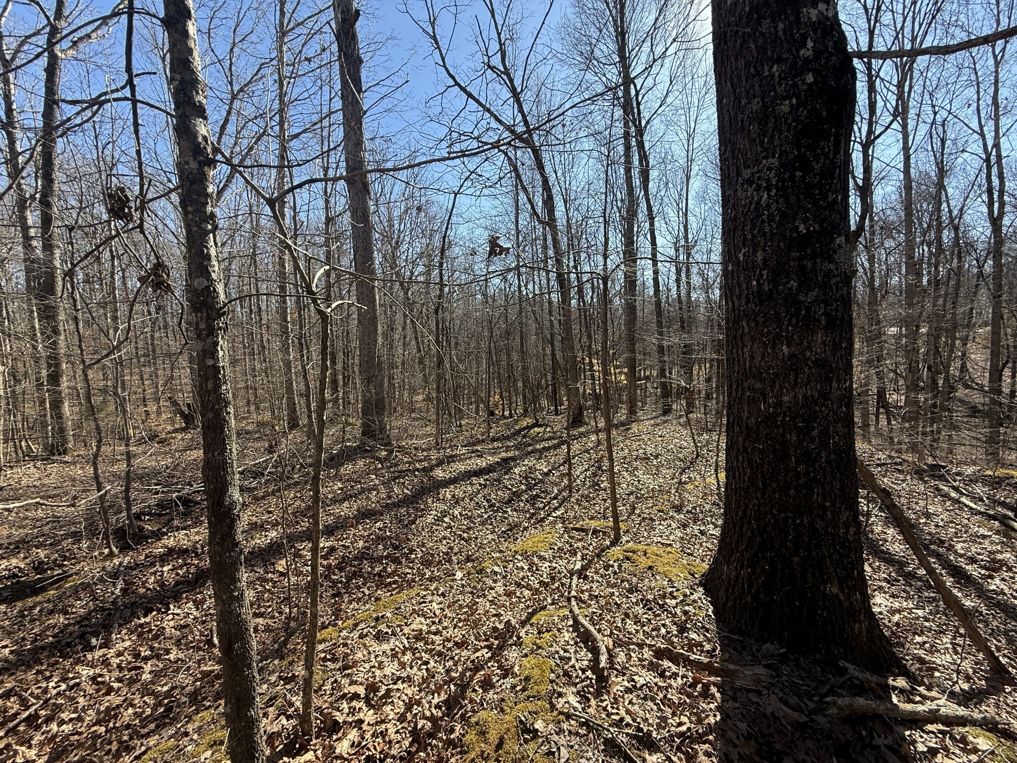 26 Backwoods Estates