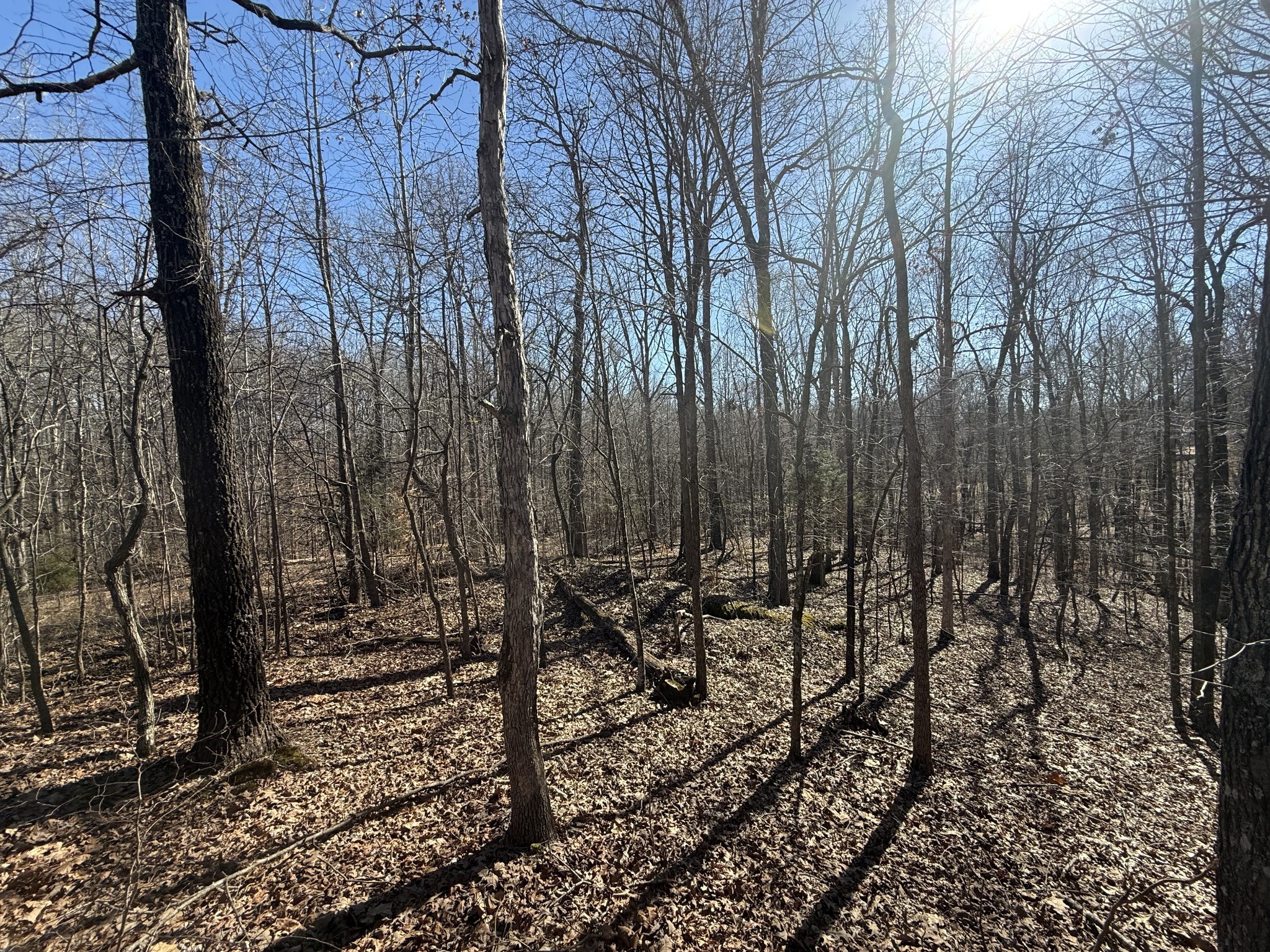 26 Backwoods Estates